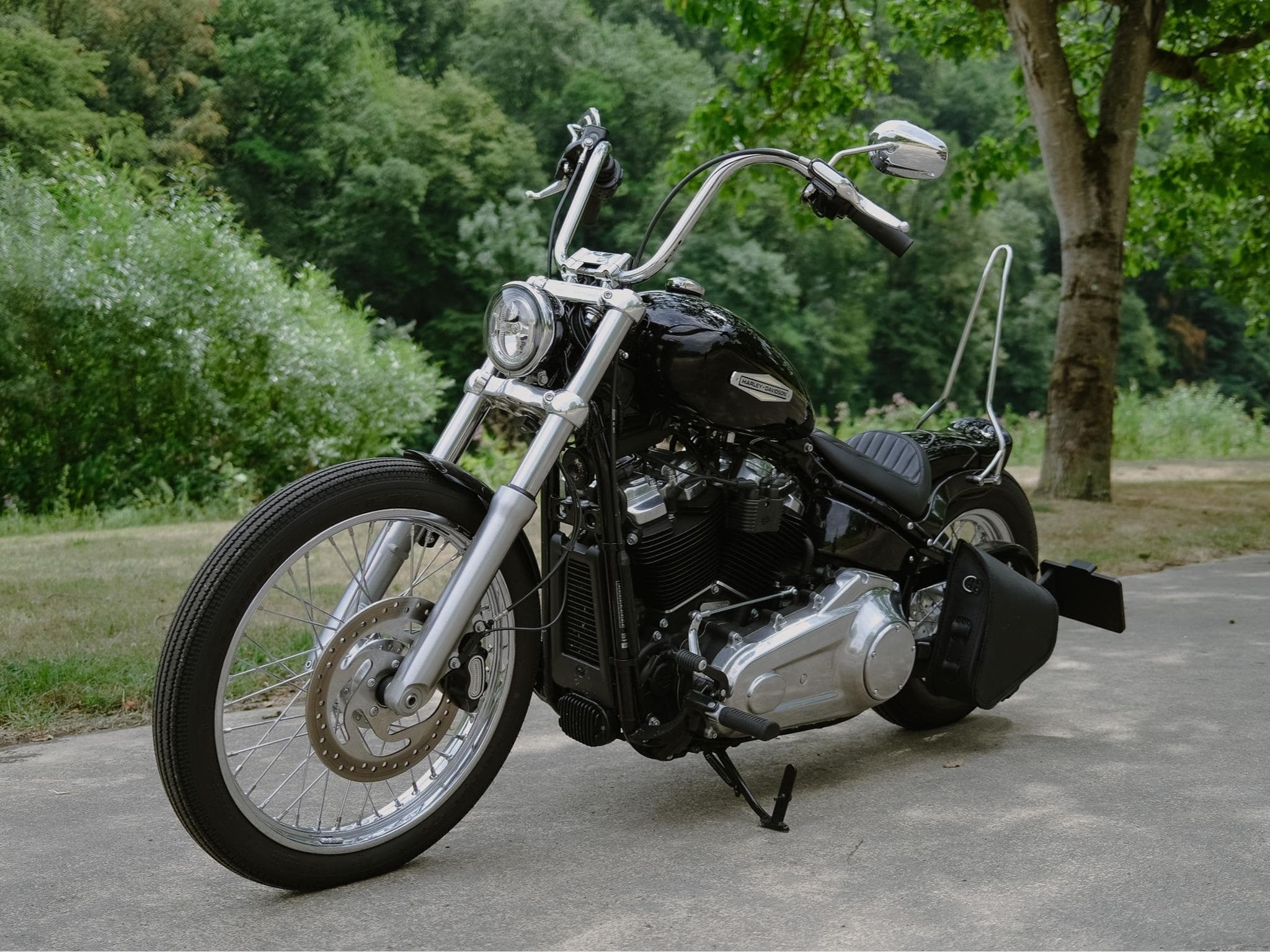 Harley-Davidson Softail Standard Custom FXST (2021) - Photo 1