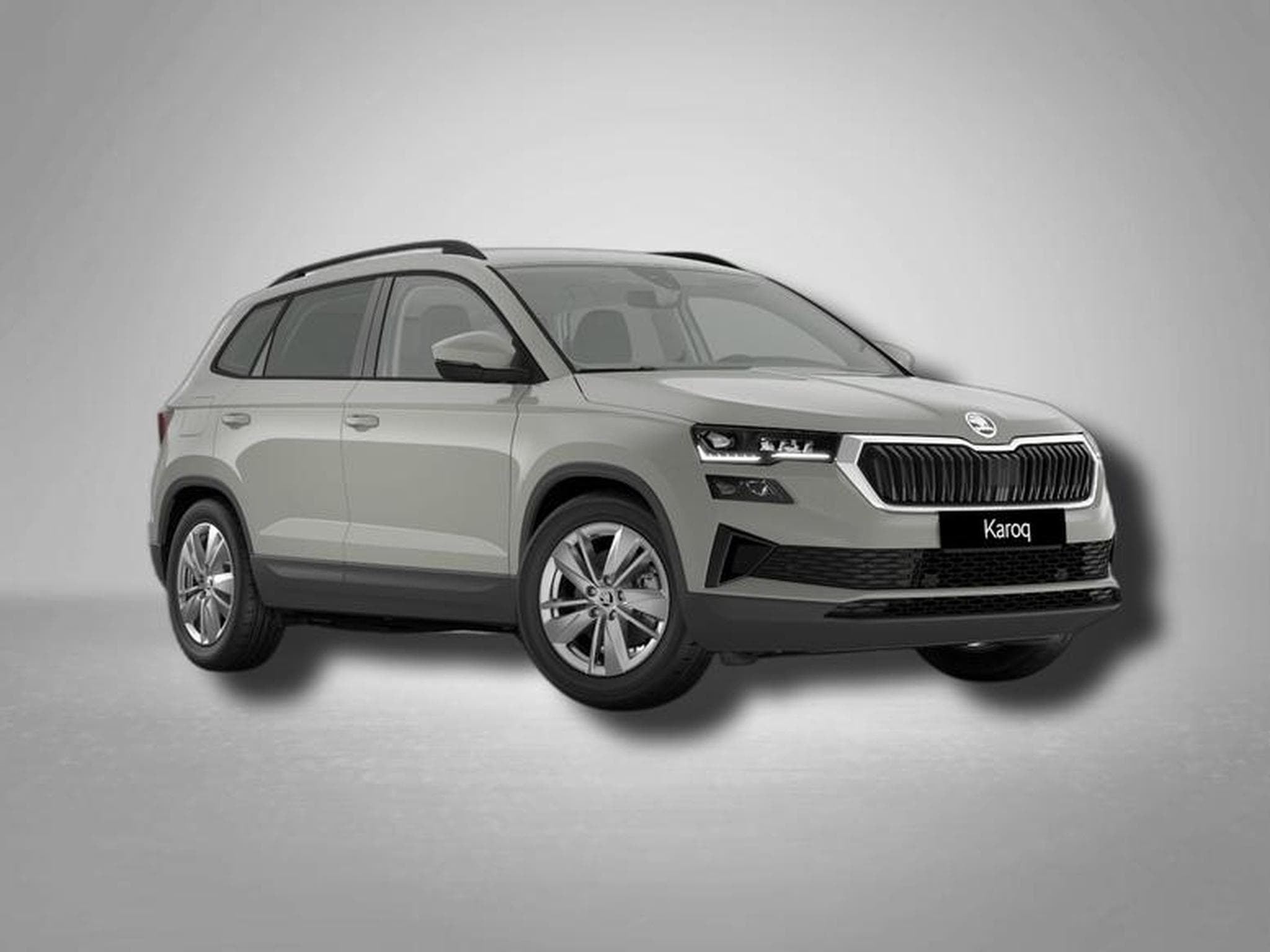 Skoda Karoq Selection 2.0 TDI 7-Gang-DSG 4x4 (2026) - Photo 1