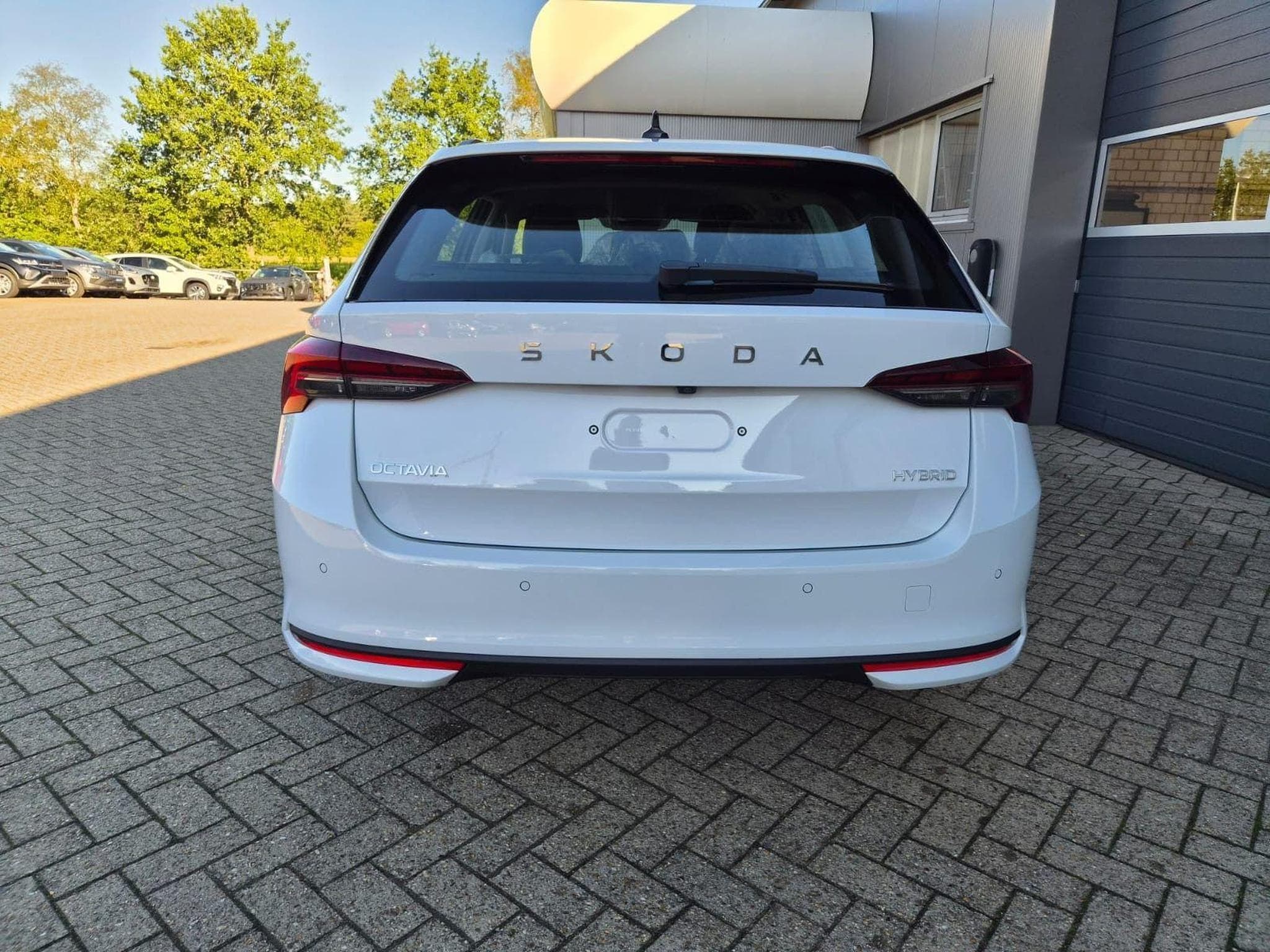 Skoda Octavia 1.5 TSI 150PS (2026) - Foto 4