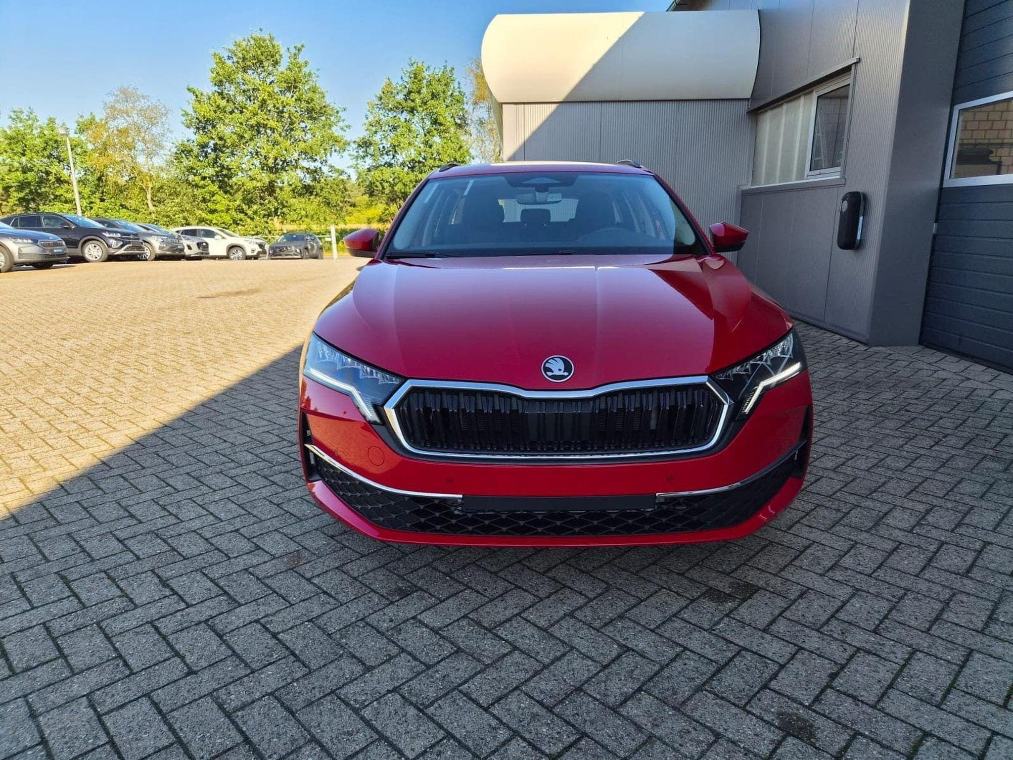 Skoda Octavia 1.5 TSI 150PS (2026) - Foto 8