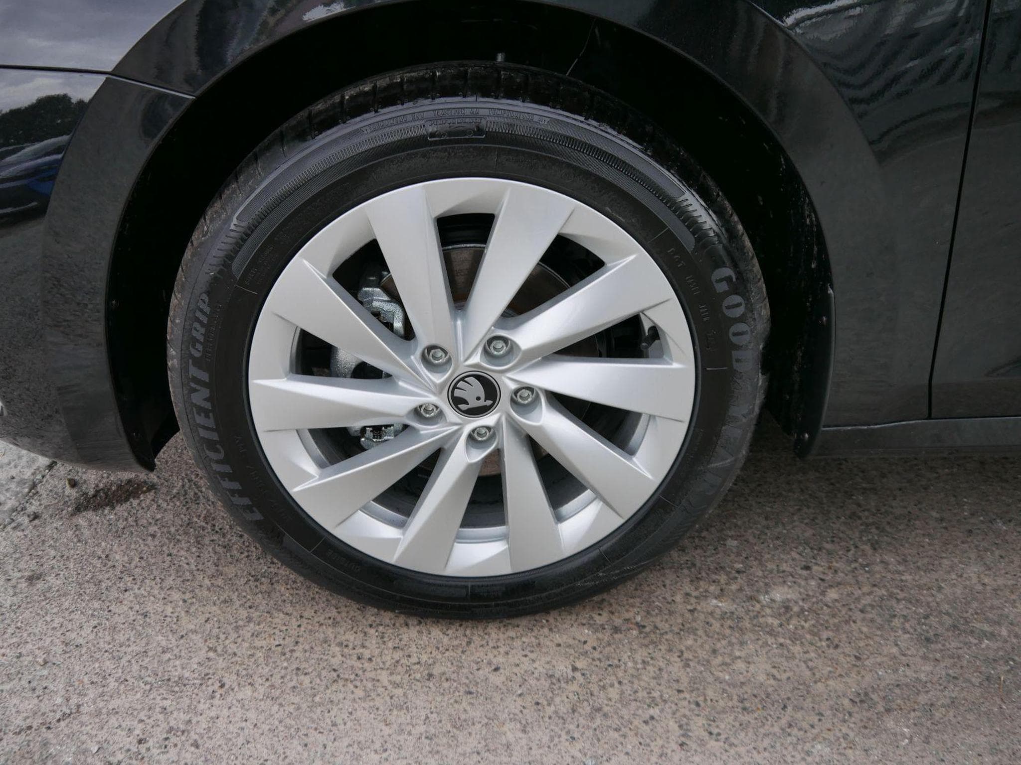 Skoda Octavia Selection (2026) - Foto 3