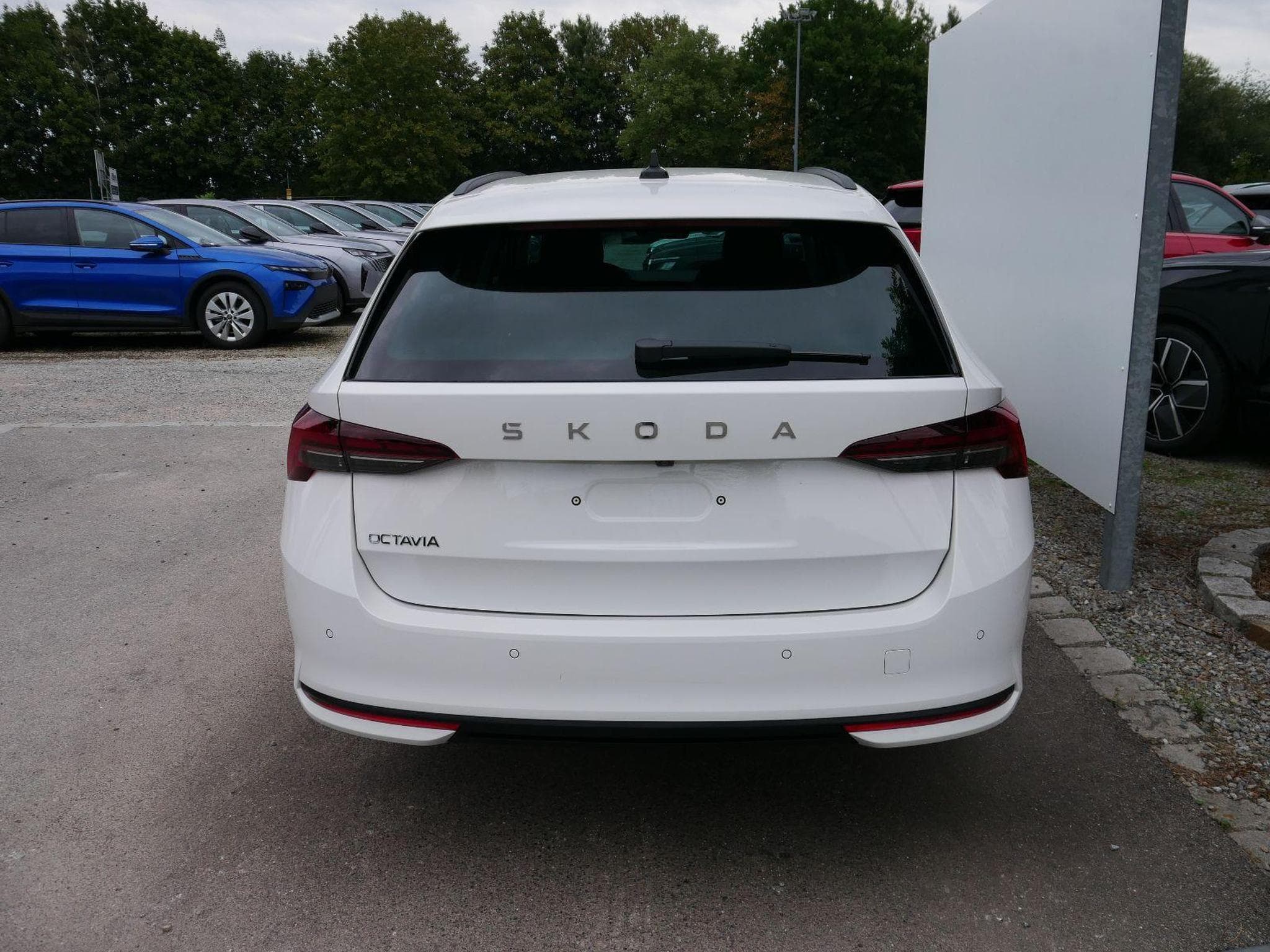 Skoda Octavia Selection (2026) - Foto 2