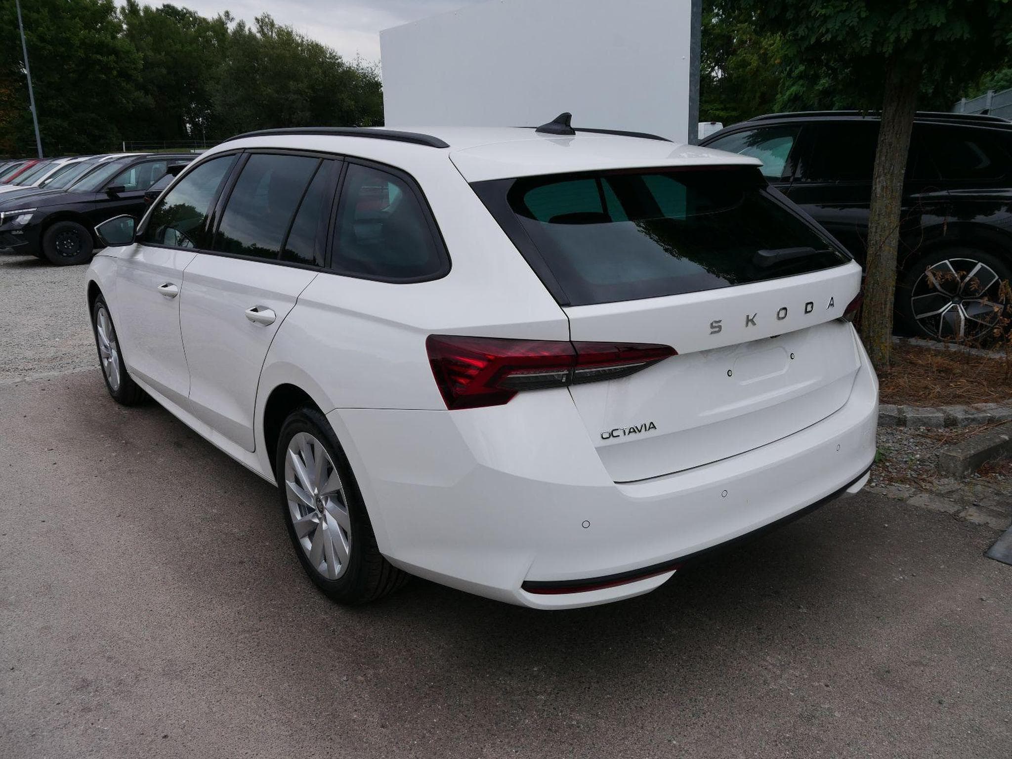 Skoda Octavia Selection (2026) - Foto 5