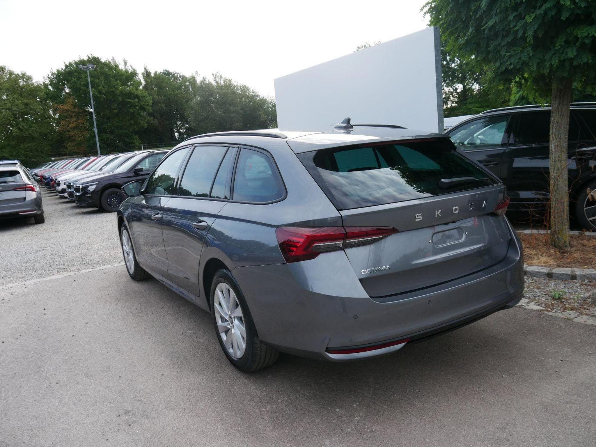 Skoda Octavia Selection (2026) - Foto 5