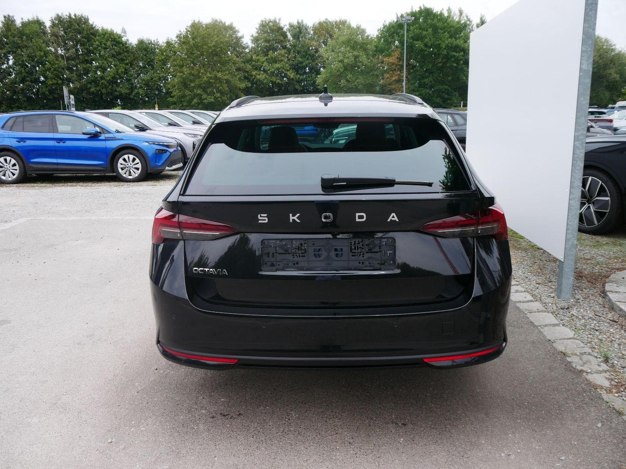 Skoda Octavia Selection (2026) - Foto 2