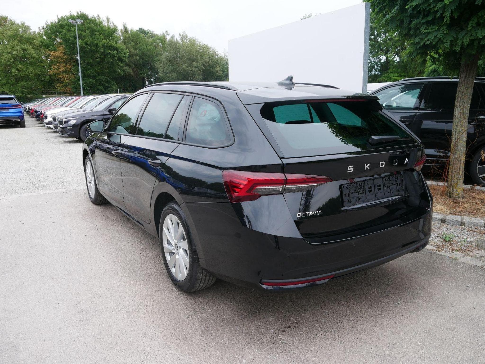 Skoda Octavia Selection (2026) - Foto 5