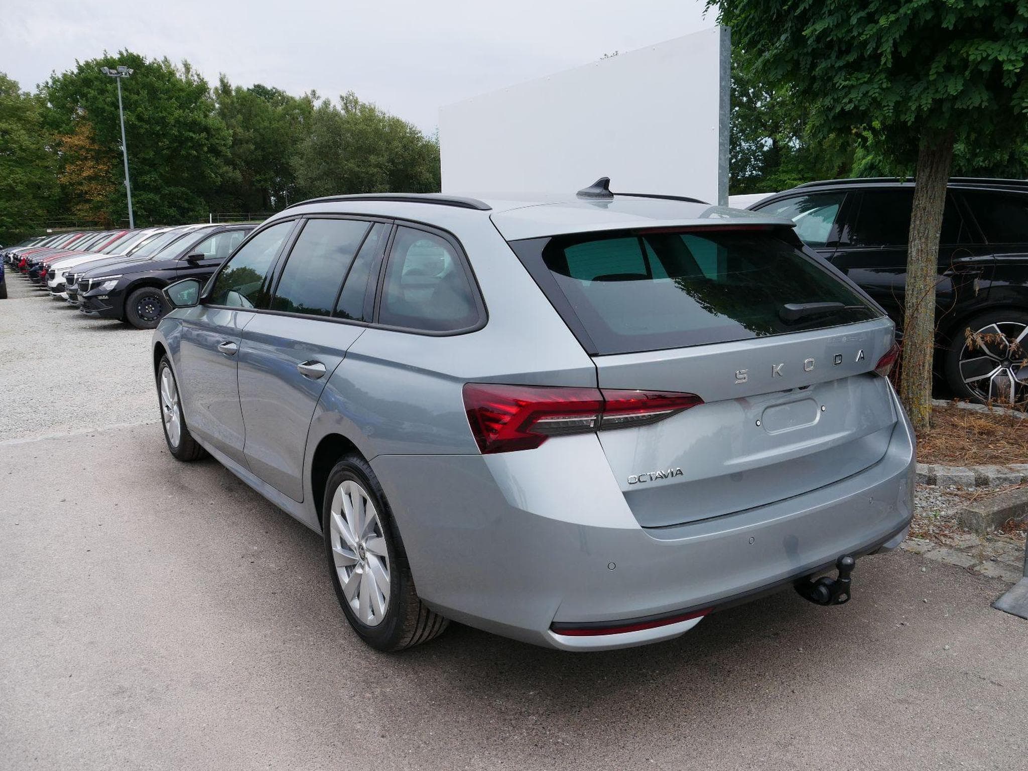 Skoda Octavia Selection (2026) - Foto 5