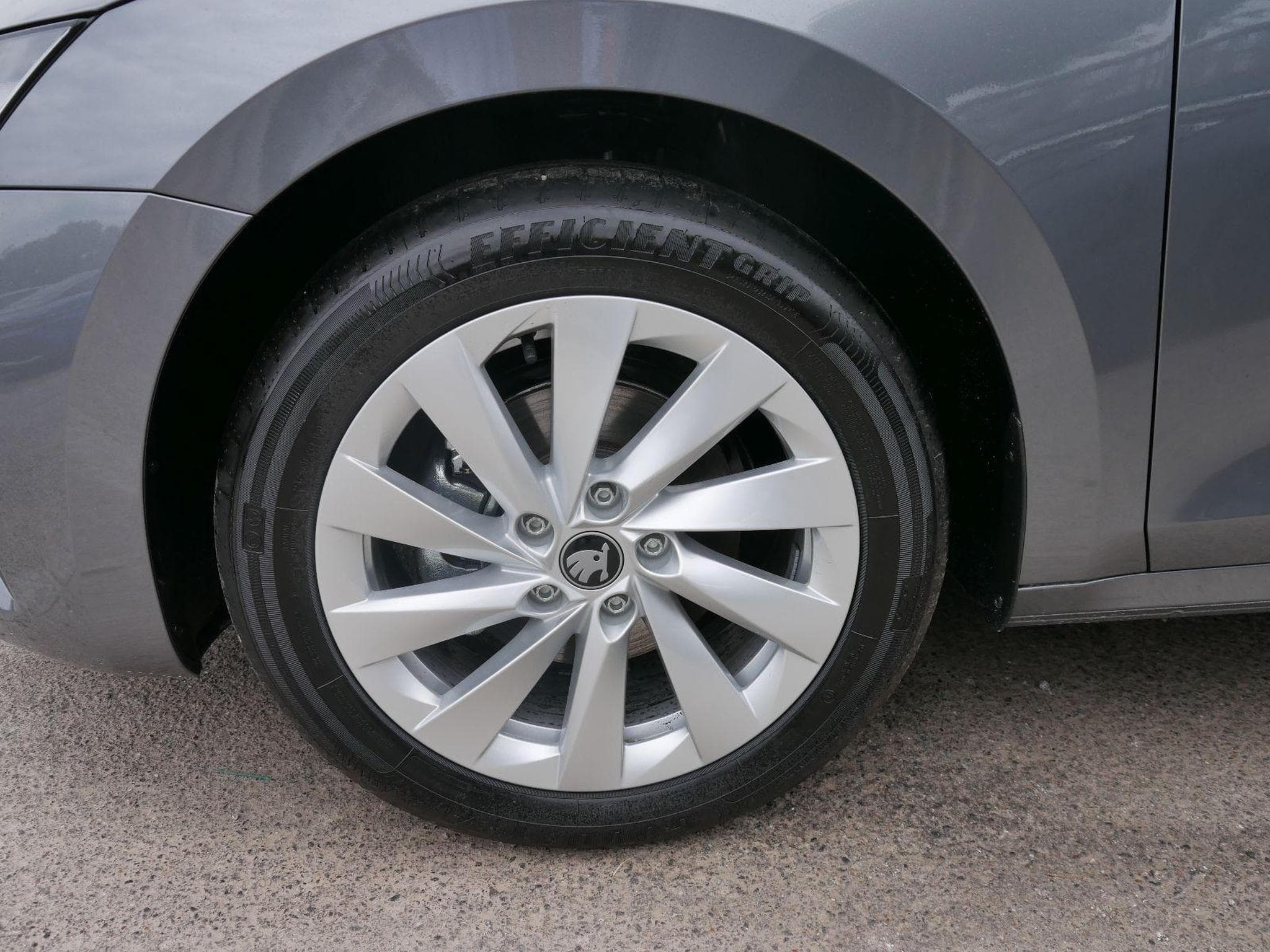 Skoda Octavia Selection (2026) - Photo 3