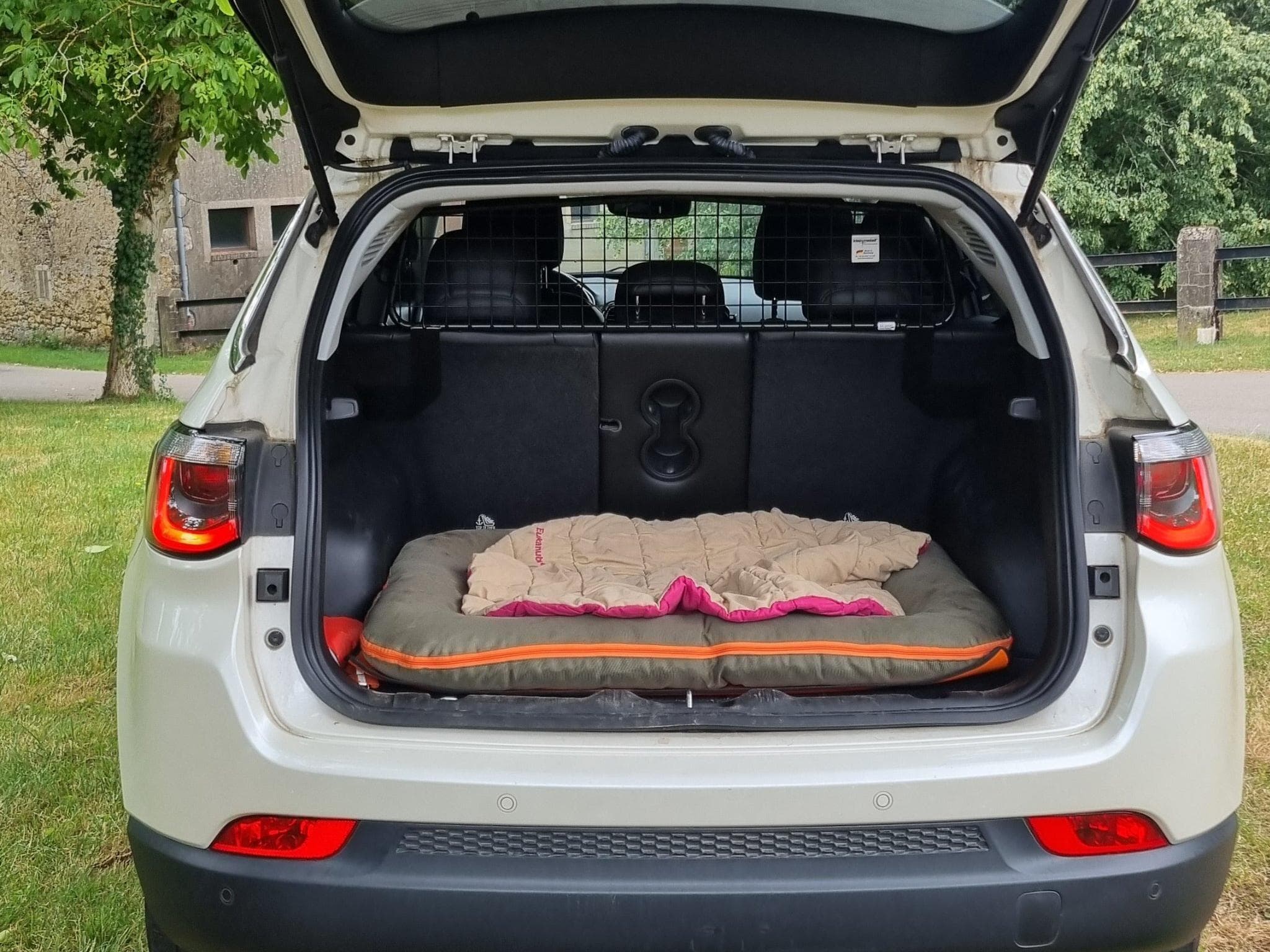 Jeep Compass (2020) - Foto 6