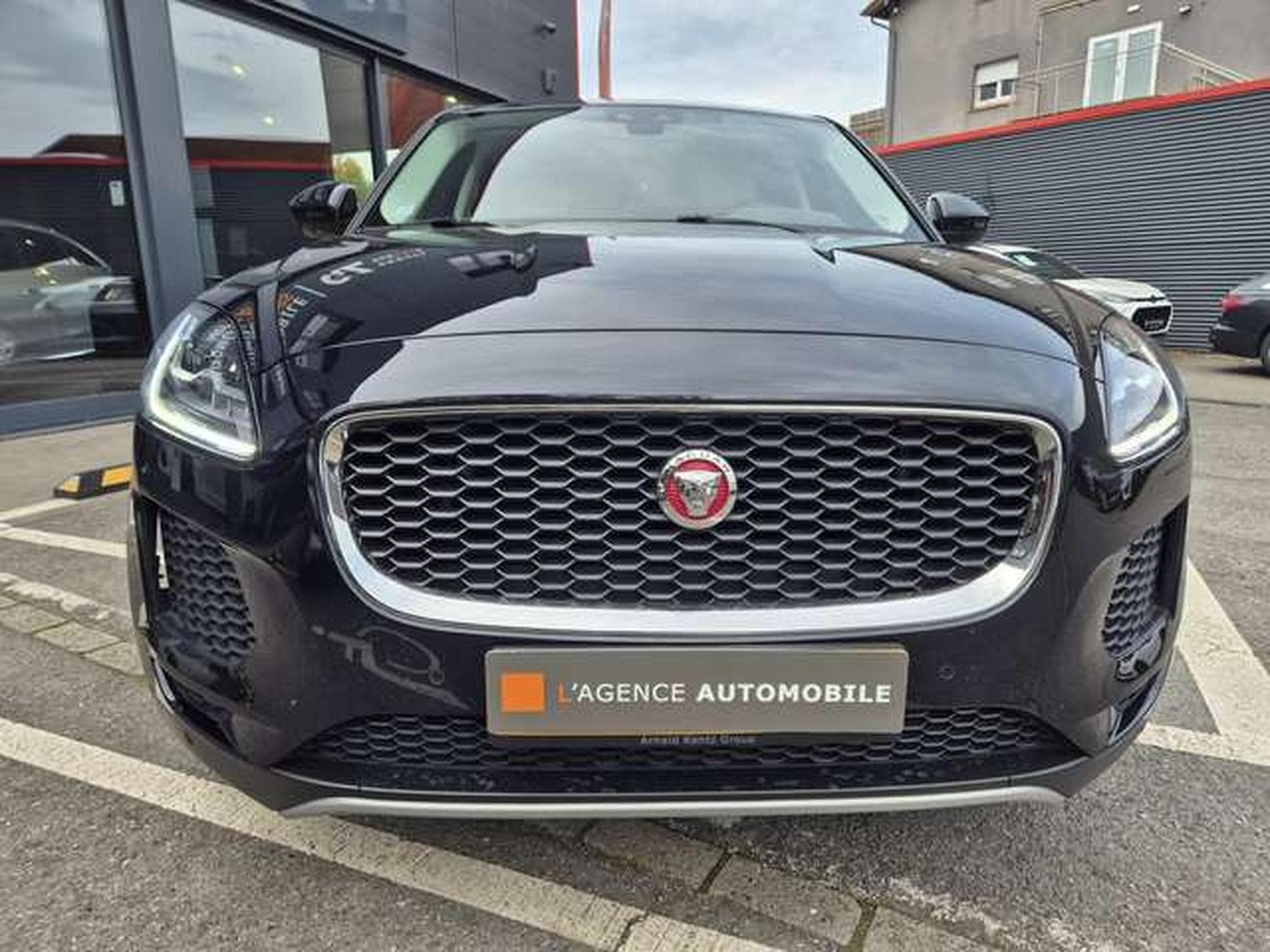 Jaguar E-Pace SPORT P250 AWD / FULL SERVICE (2019) - Foto 3