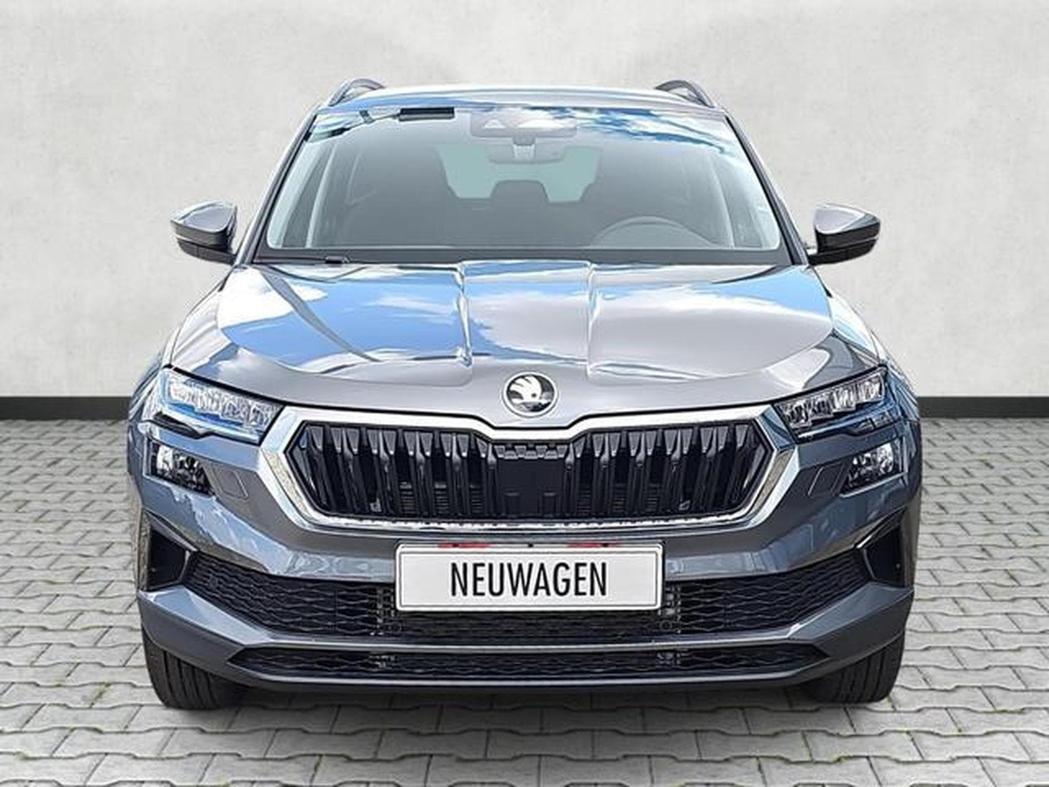 Skoda Karoq Selection (2026) - Photo 2