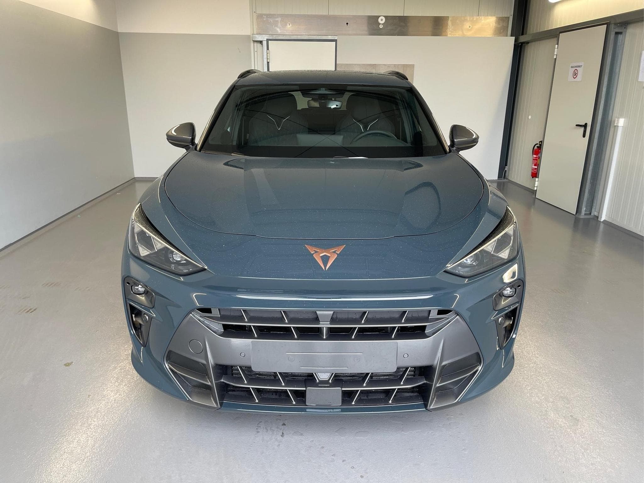 Cupra Terramar Terramar (2026) - Photo 2