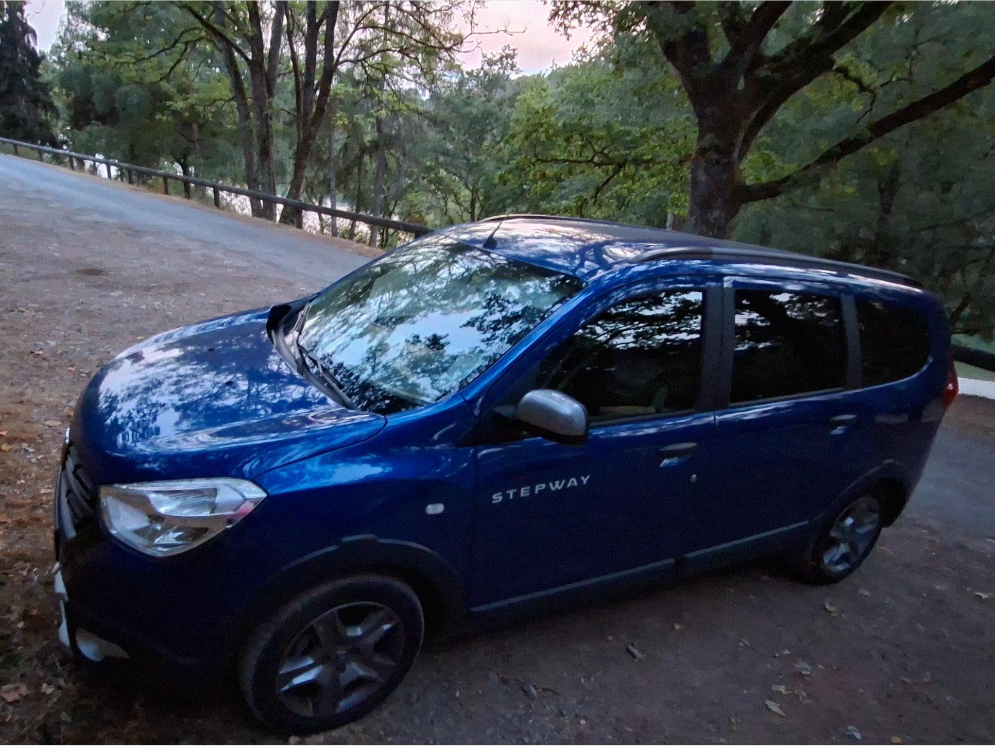 Dacia Lodgy Stepway 1.5 dCi / Blue 116 PS 7-Sitzer (2021) - Photo 7