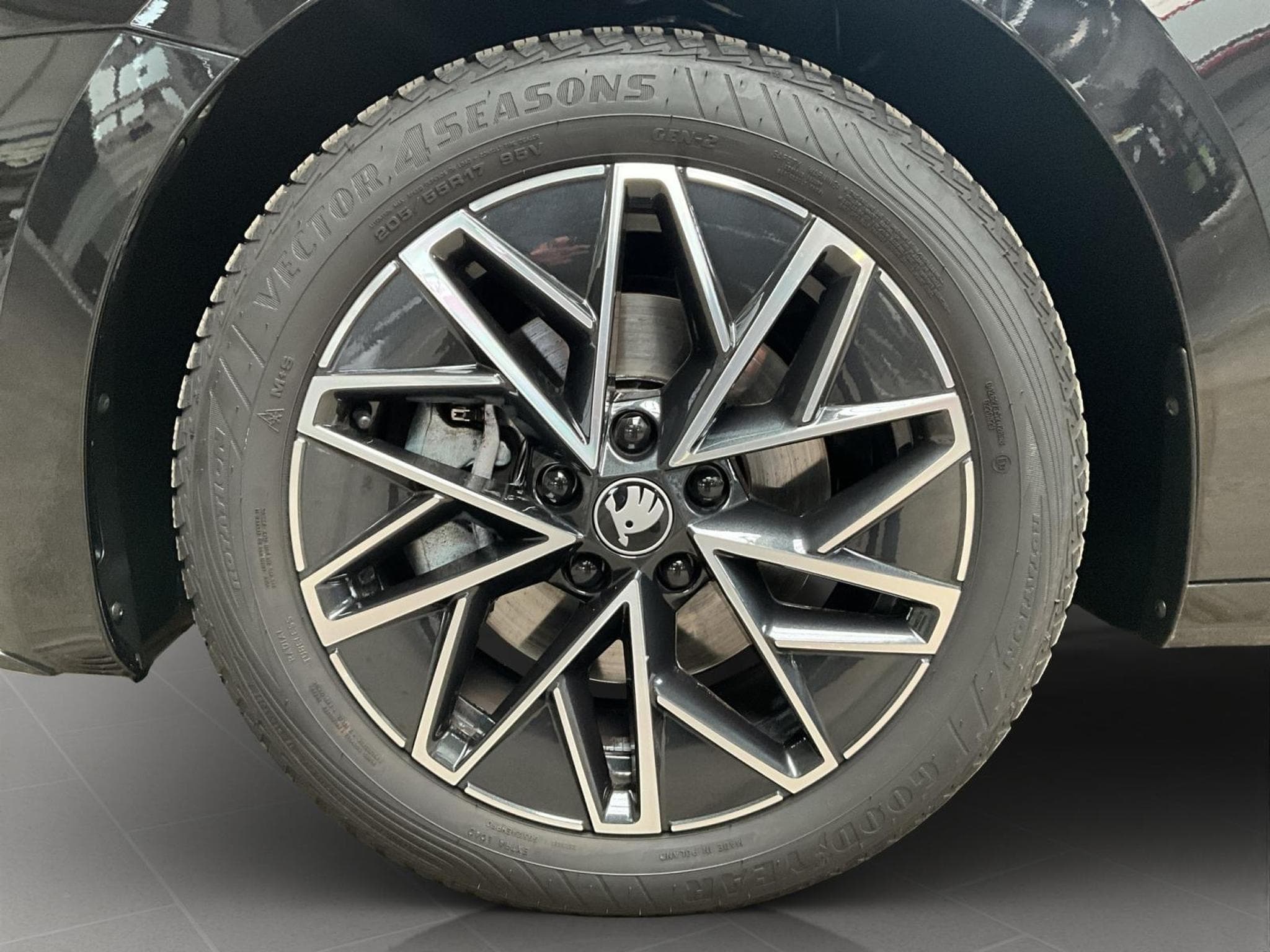 Skoda Octavia Sportline+DSG+DCC+P.Light&View+Pano+LED+Navi (2025) - Foto 8