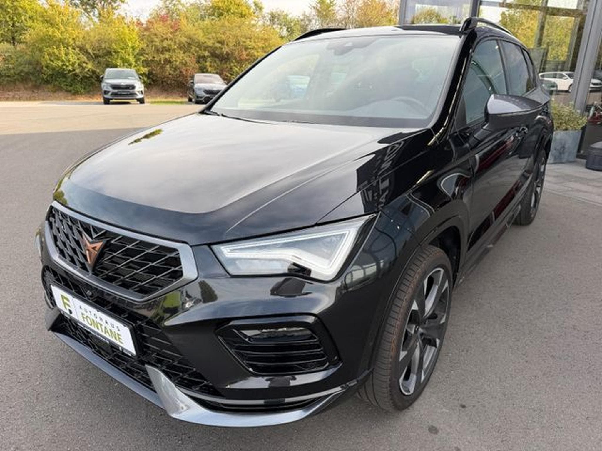Cupra Ateca Ateca 2,0TSi VZ 4Drive Pano Navi 360° Teilleder (2025) - Photo 2