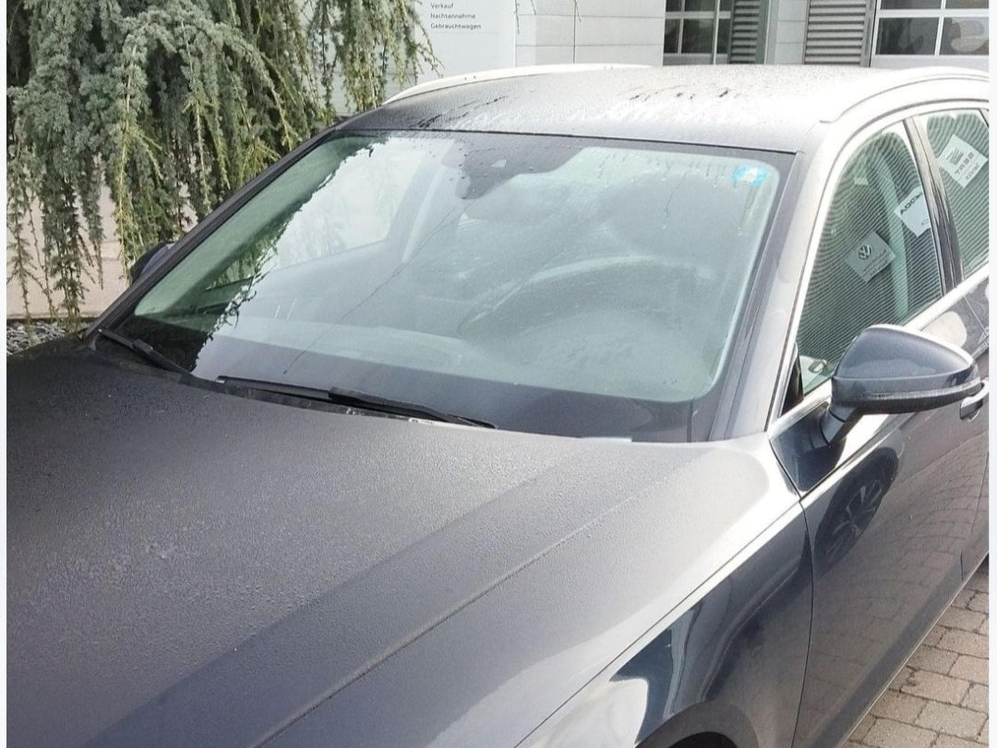 Audi A4 (2016) - Photo 3