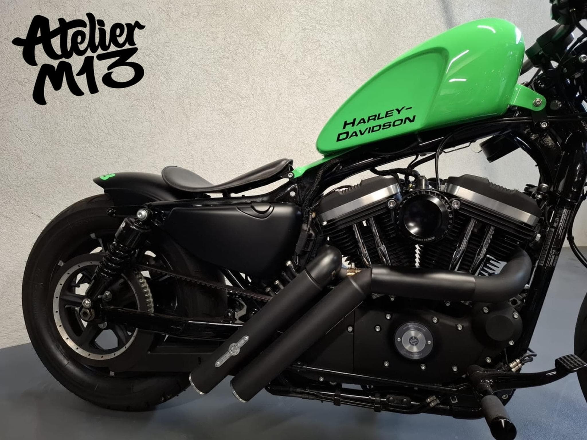 Harley-Davidson Sportster XL883N Green Racing (2015) - Foto 6