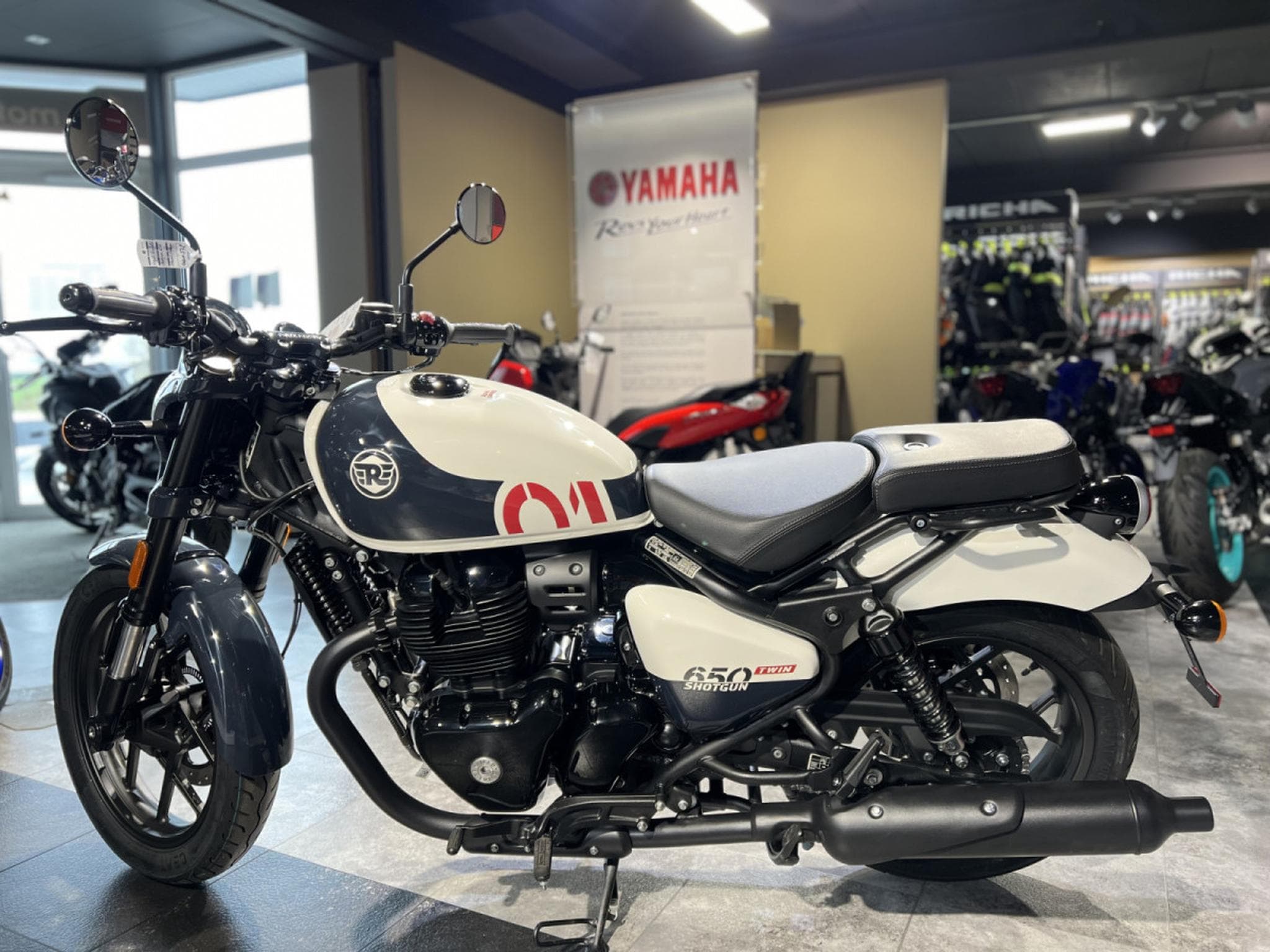 Royal Enfield Shotgun 650 stencil white (2026) - Photo 4