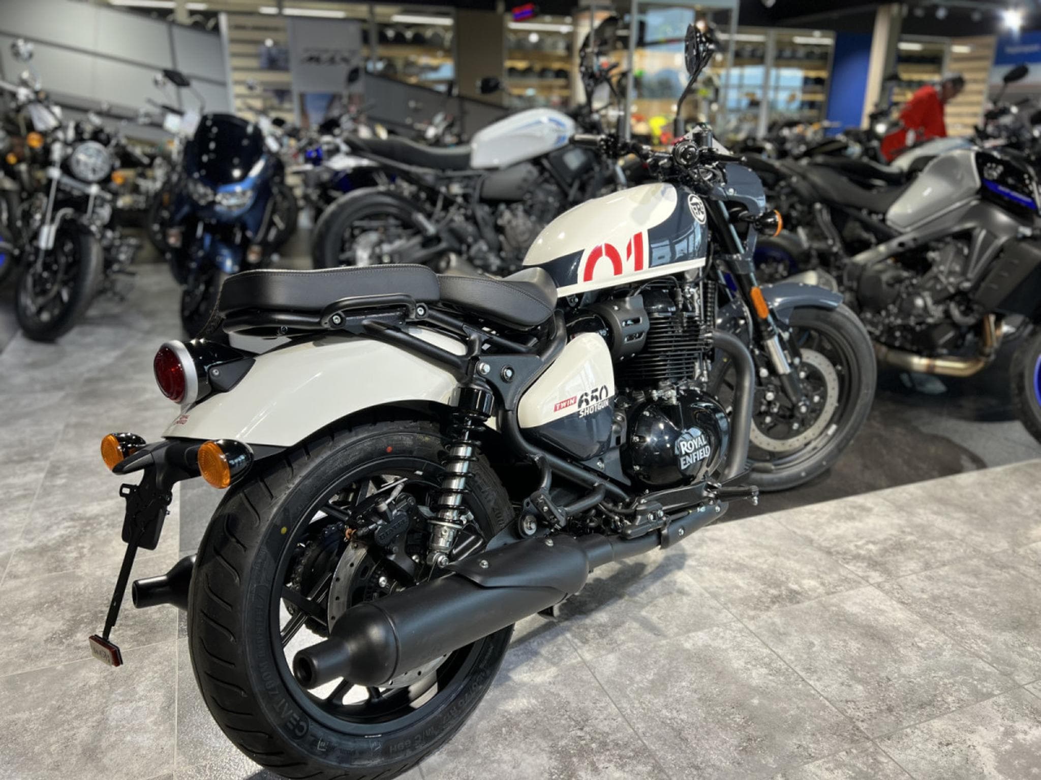 Royal Enfield Shotgun 650 stencil white (2026) - Photo 3