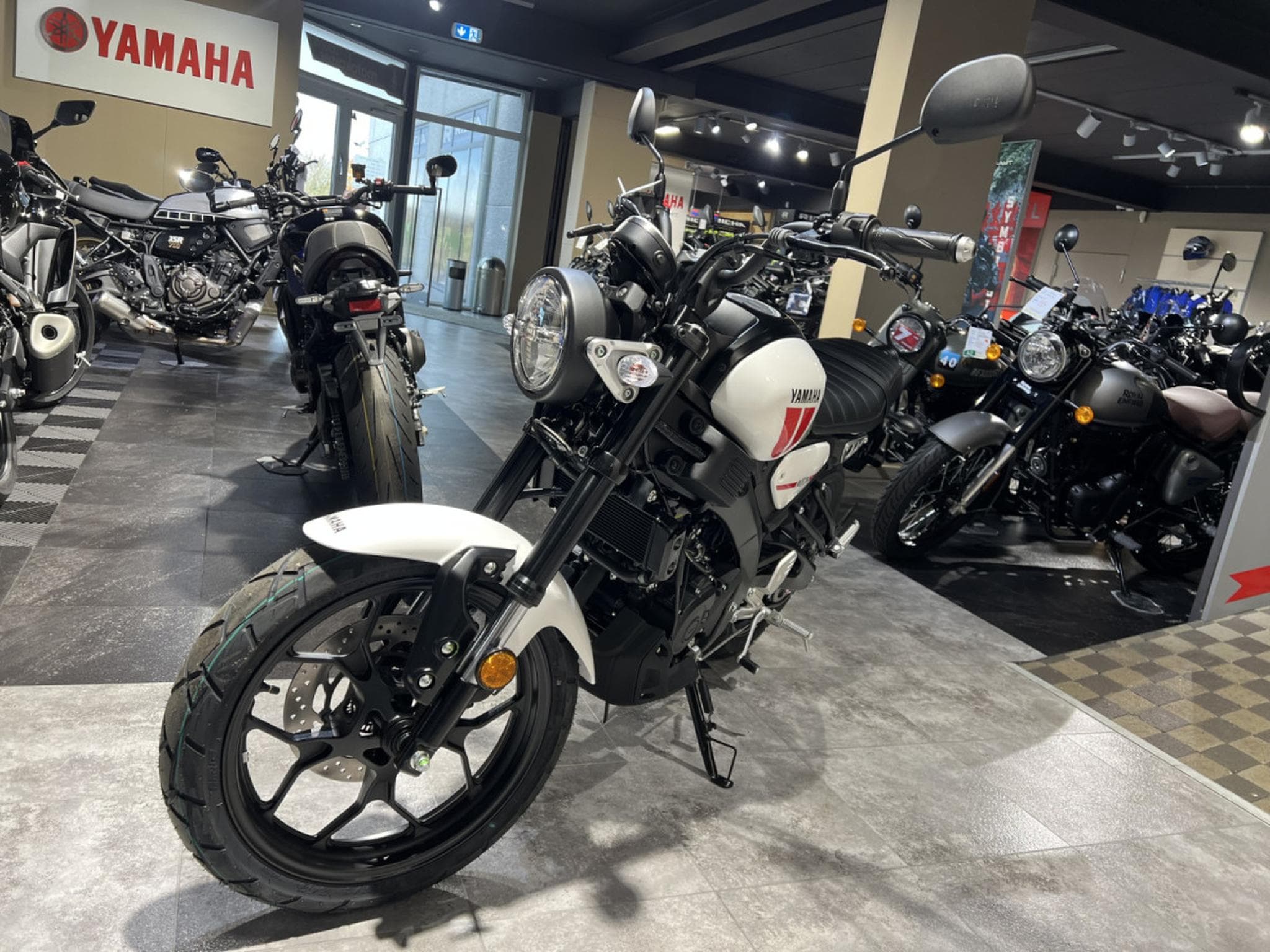 Yamaha XSR (2026) - Photo 2