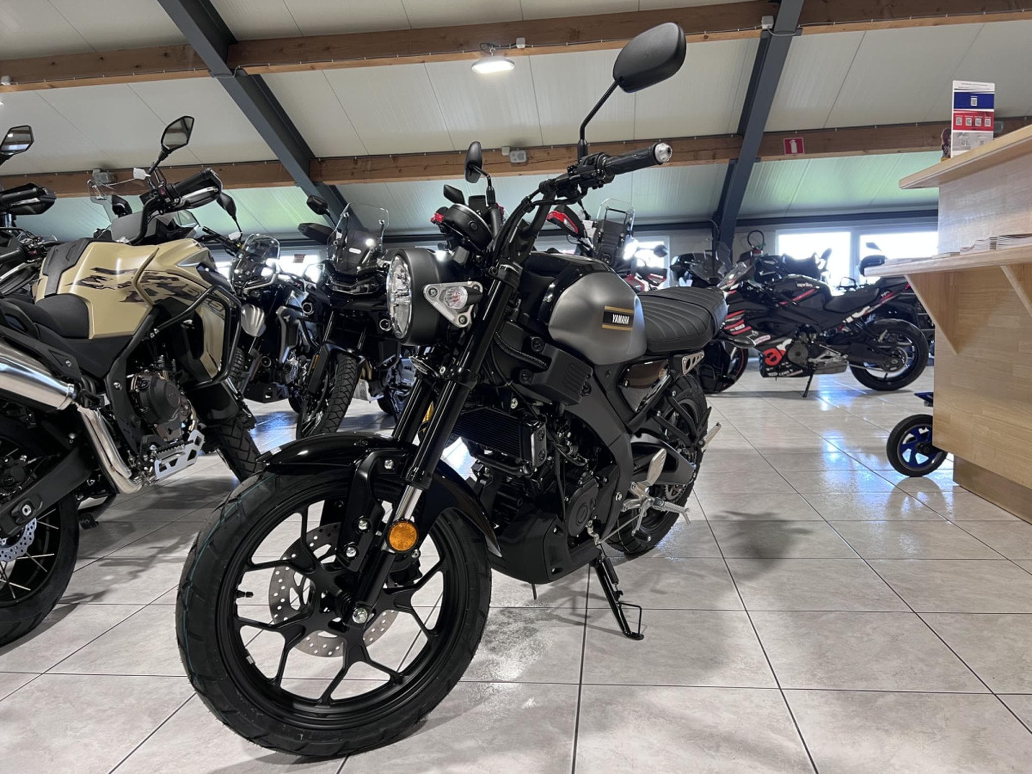 Yamaha XSR (2026) - Photo 2