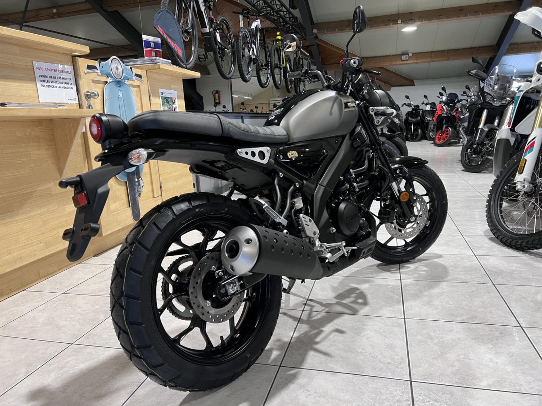 Yamaha XSR (2026) - Photo 3