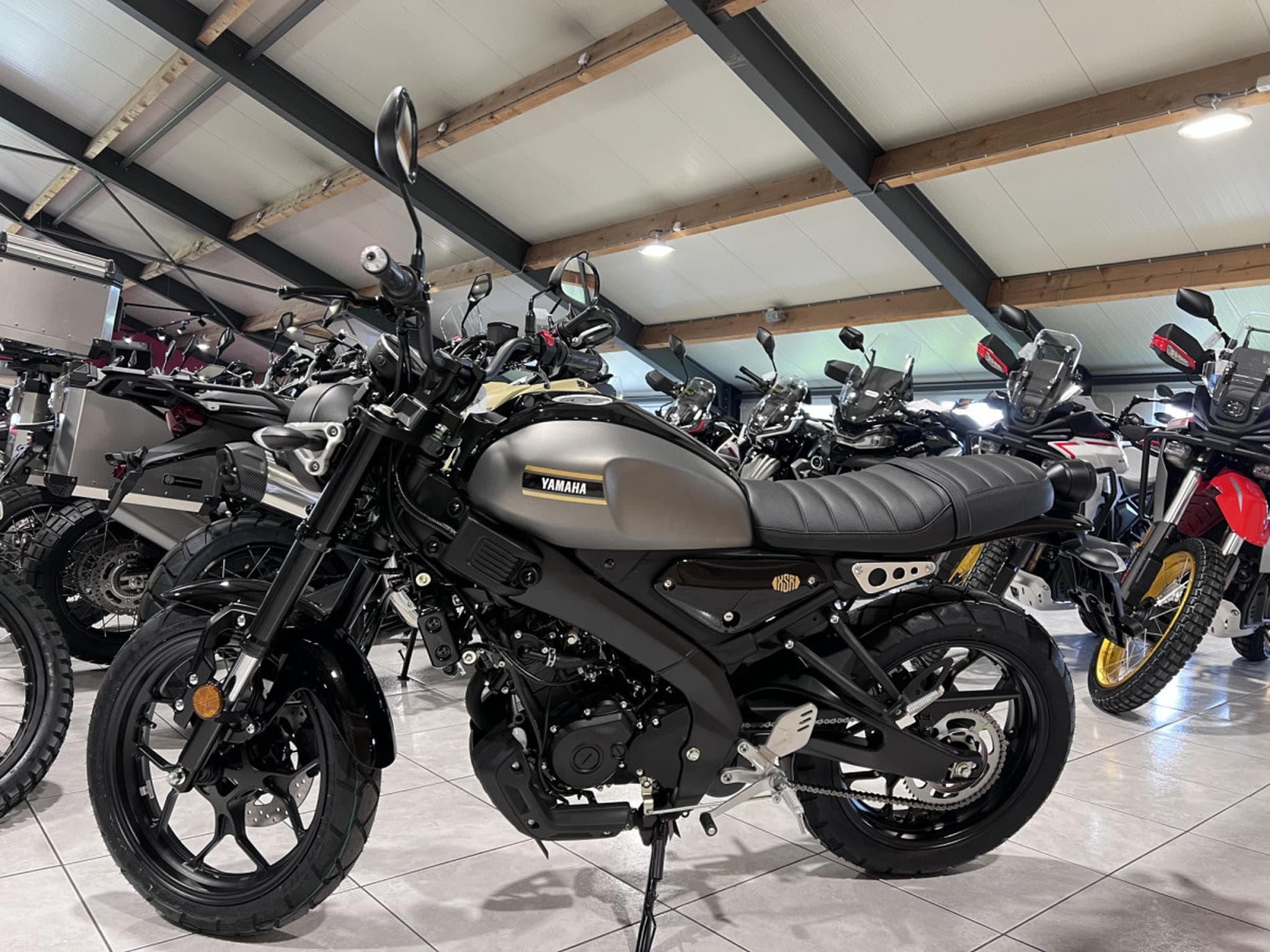 Yamaha XSR (2026) - Photo 4