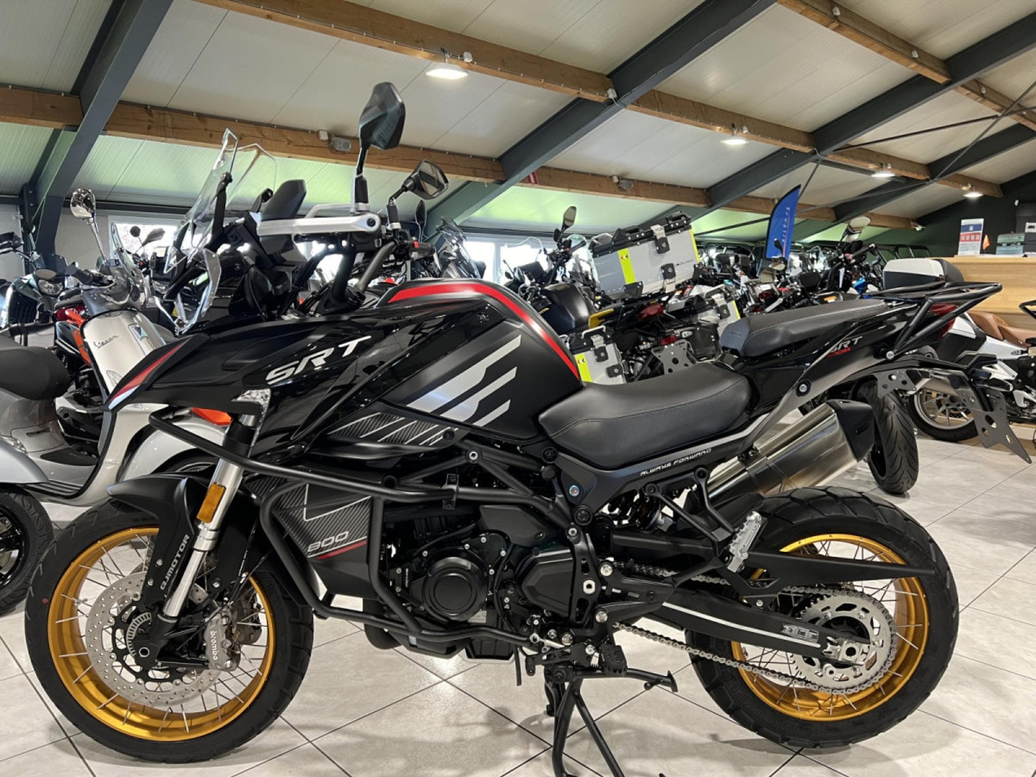 QJmotor SRT 800 SX (2026) - Photo 4