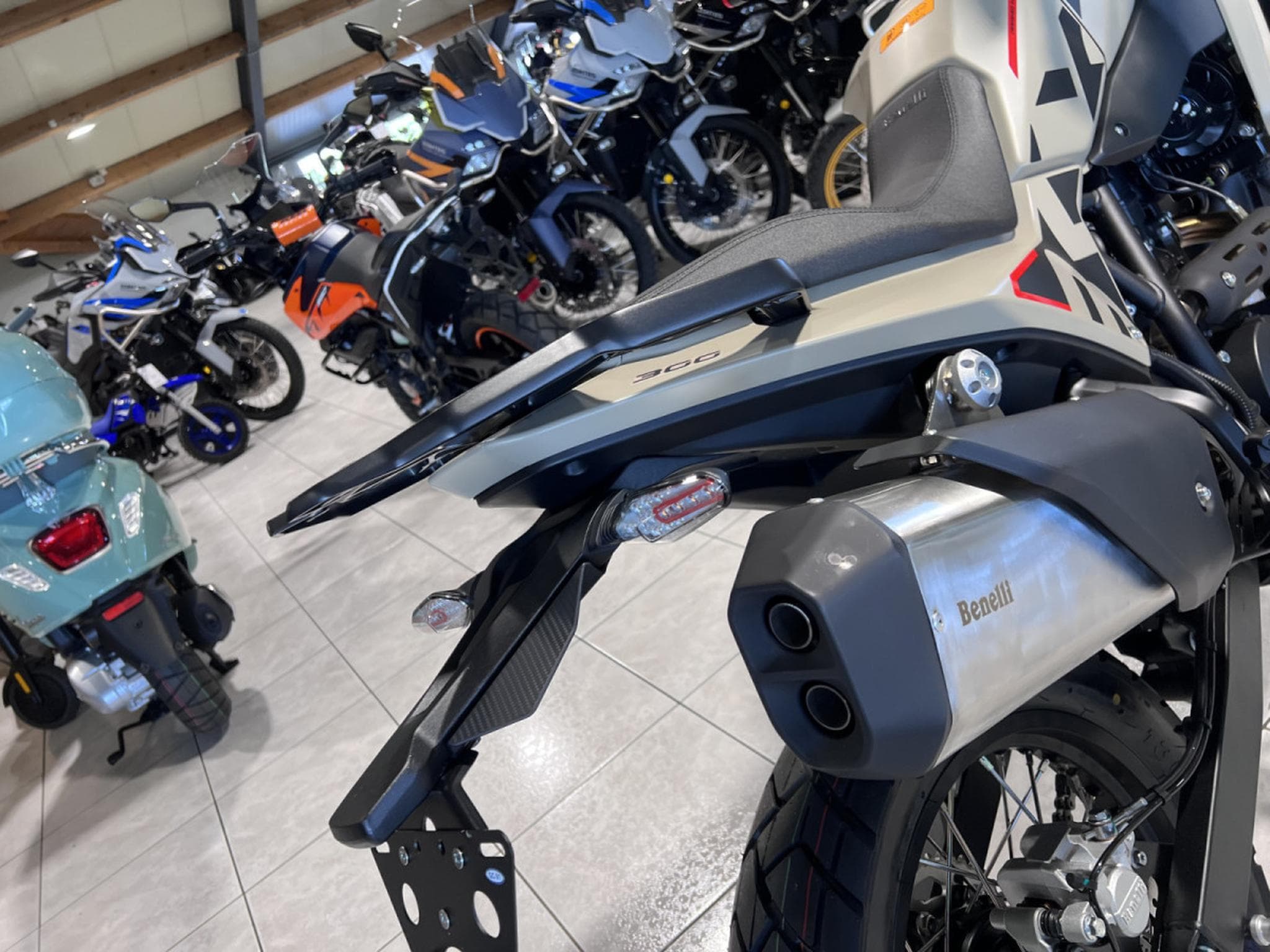 Benelli BKX 300 (2026) - Photo 4