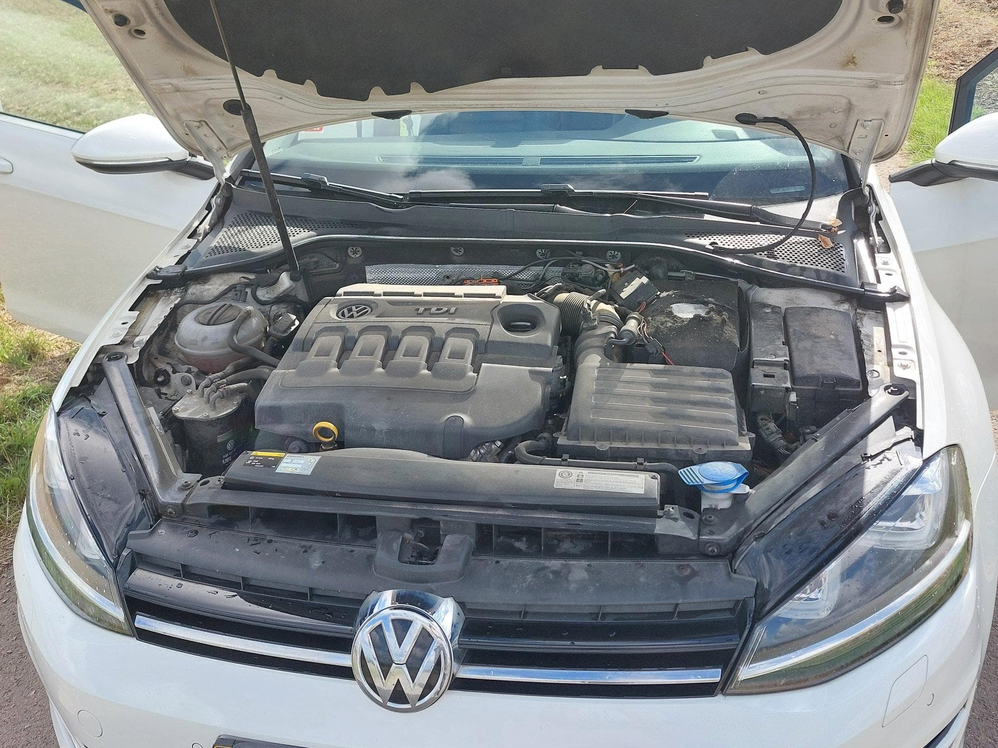 VW Golf VII Highline (2015) - Photo 9