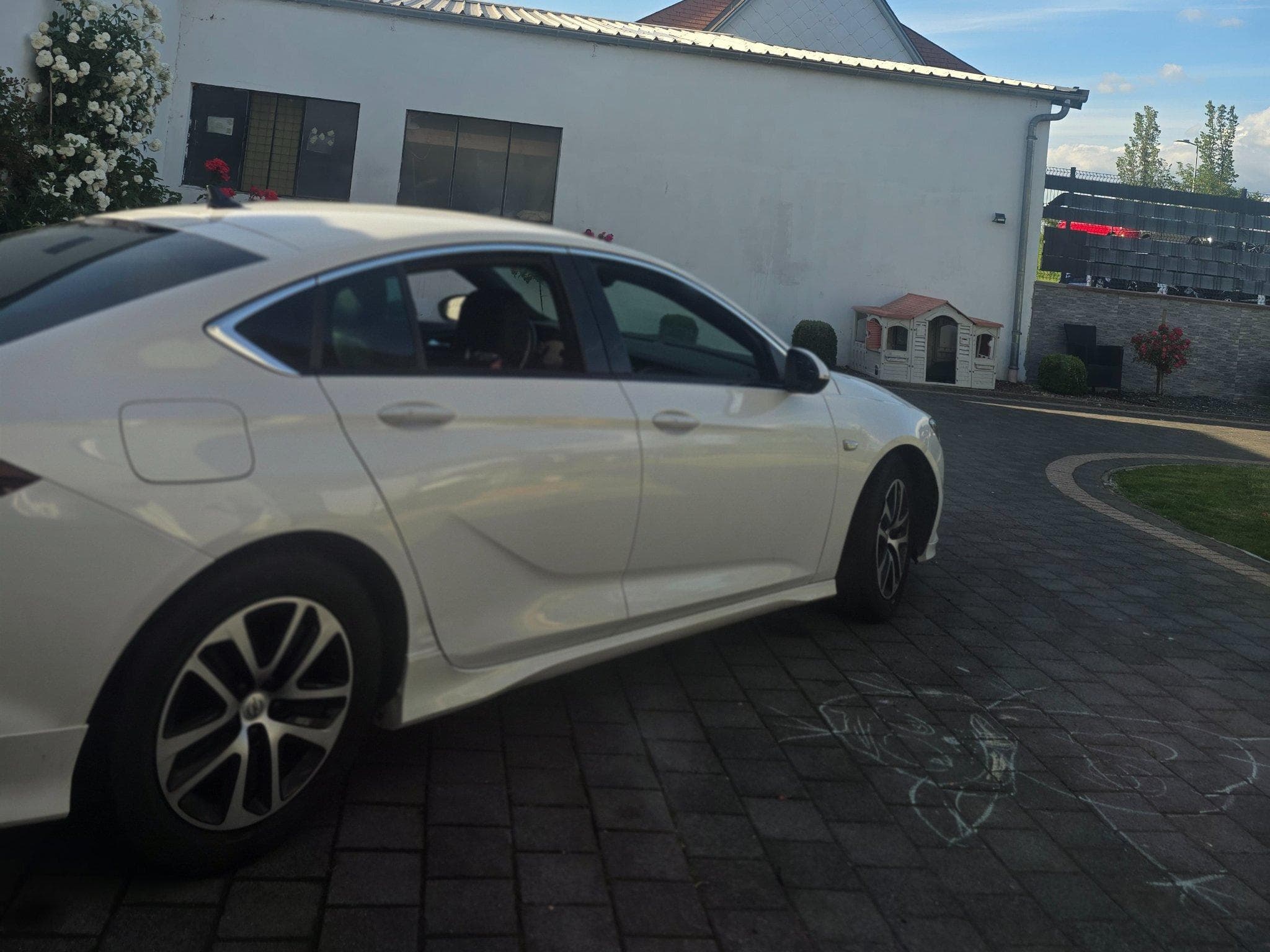 Opel Insignia Opc (2020) - Photo 3