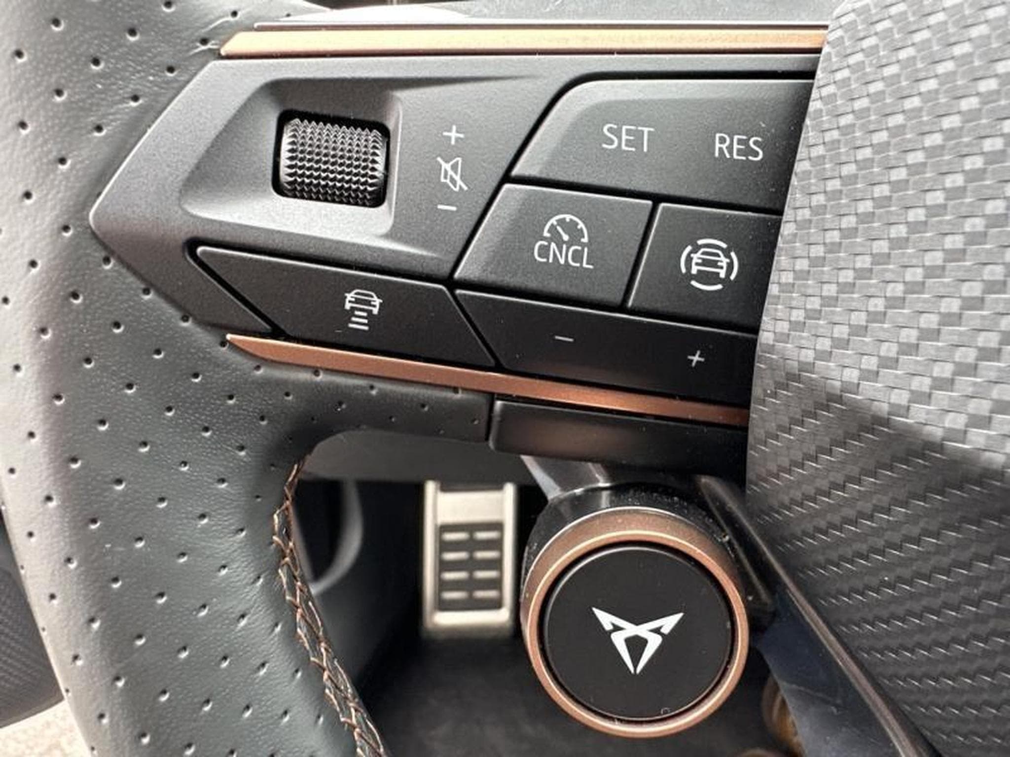 Cupra Leon 2.0 TDI 150ch DSG7 (2025) - Foto 15