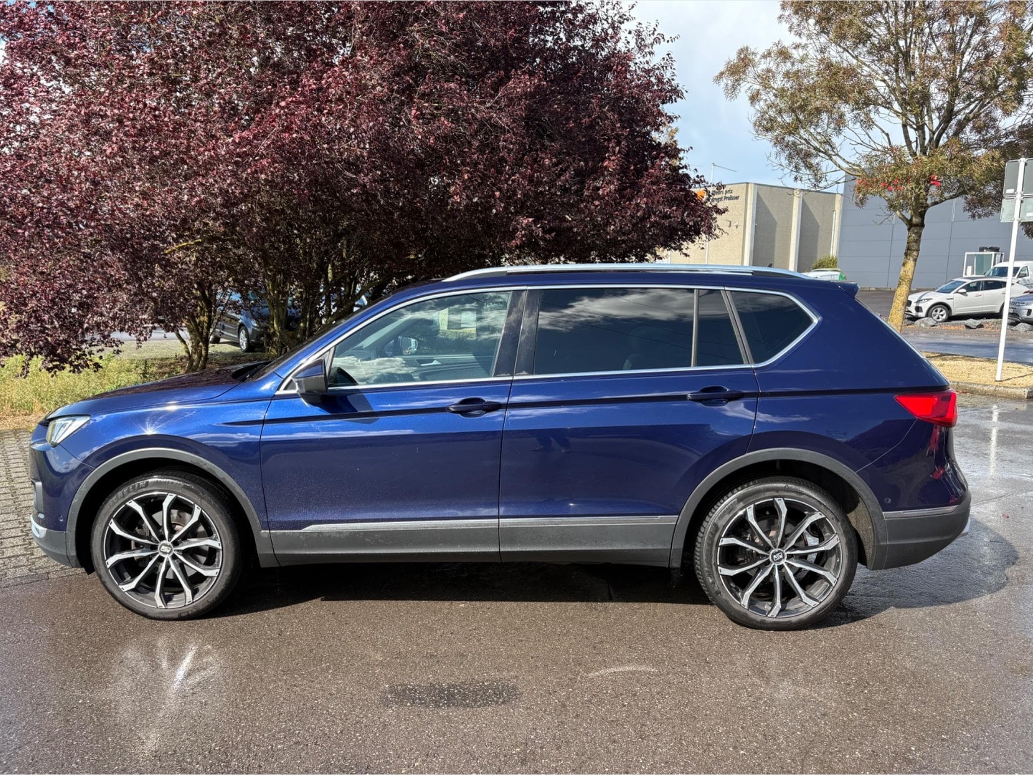Seat Tarraco (2019) - Photo 2