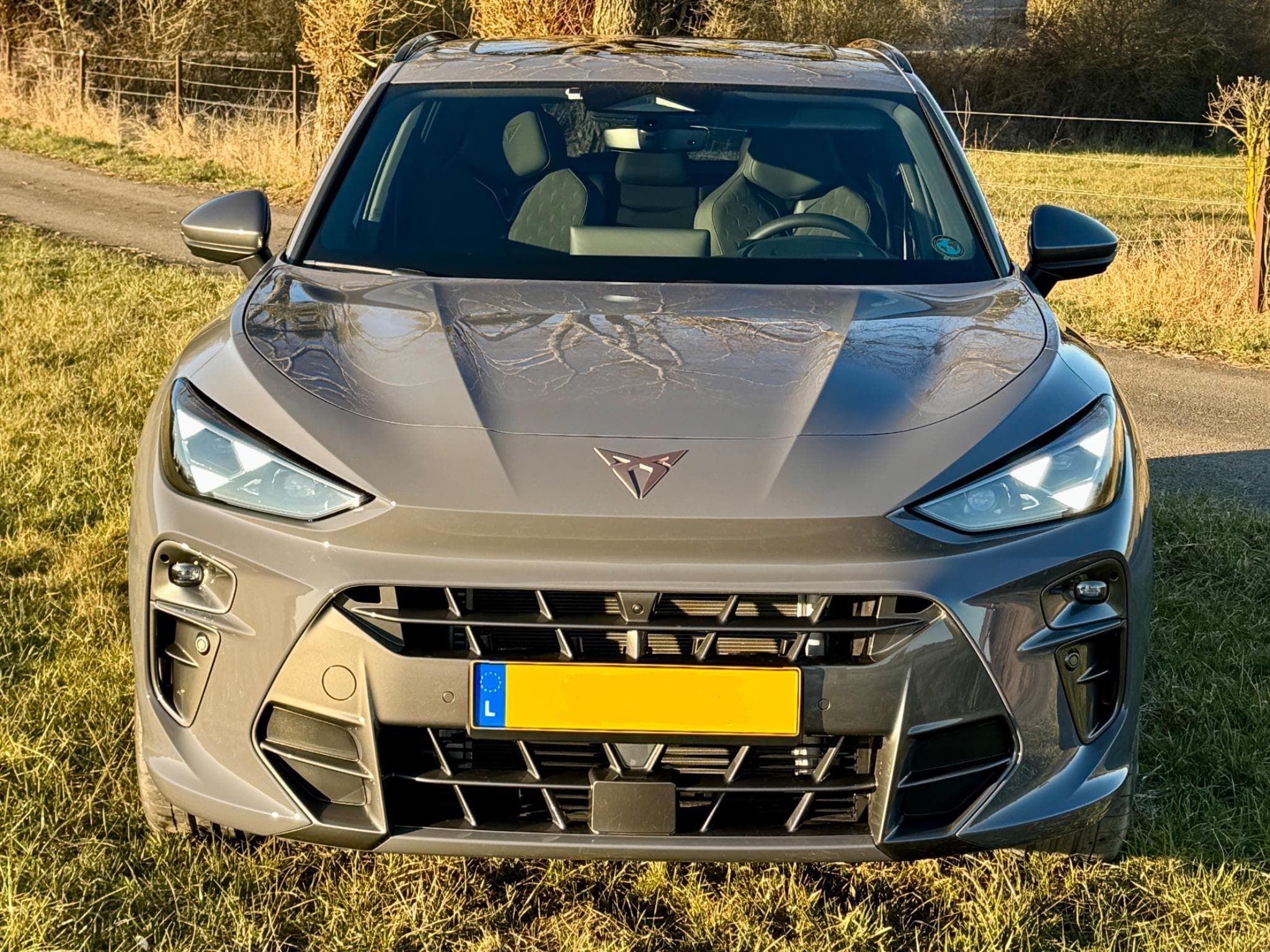 Cupra Terramar 2.0 TSI 265 PS 4Drive (2024) - Foto 2