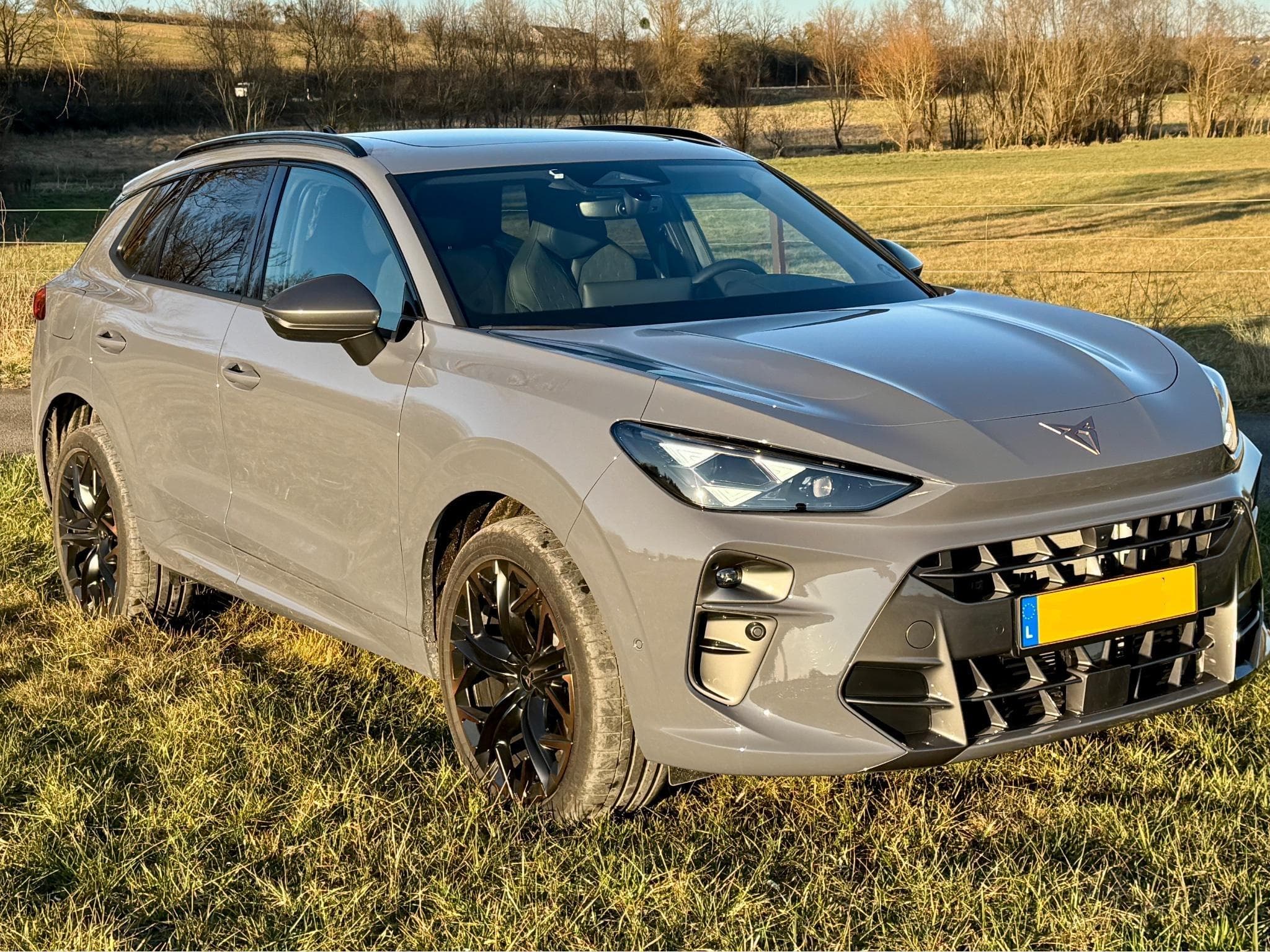 Cupra Terramar 2.0 TSI 265 PS 4Drive (2024) - Foto 3