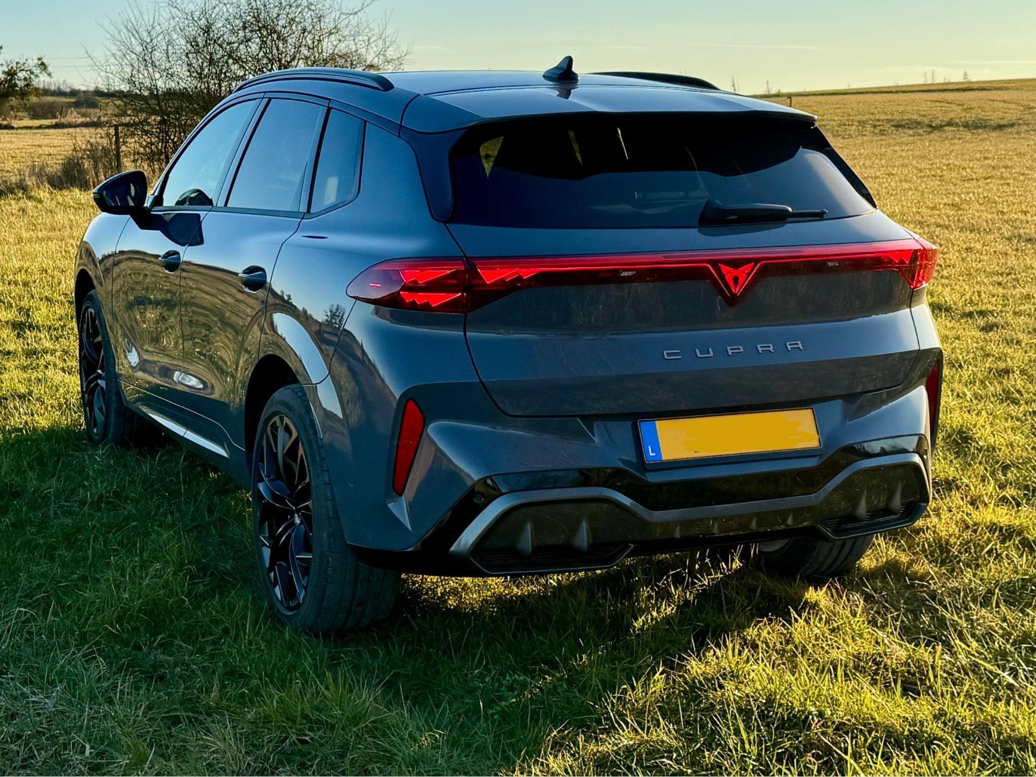 Cupra Terramar 2.0 TSI 265 PS 4Drive (2024) - Foto 4