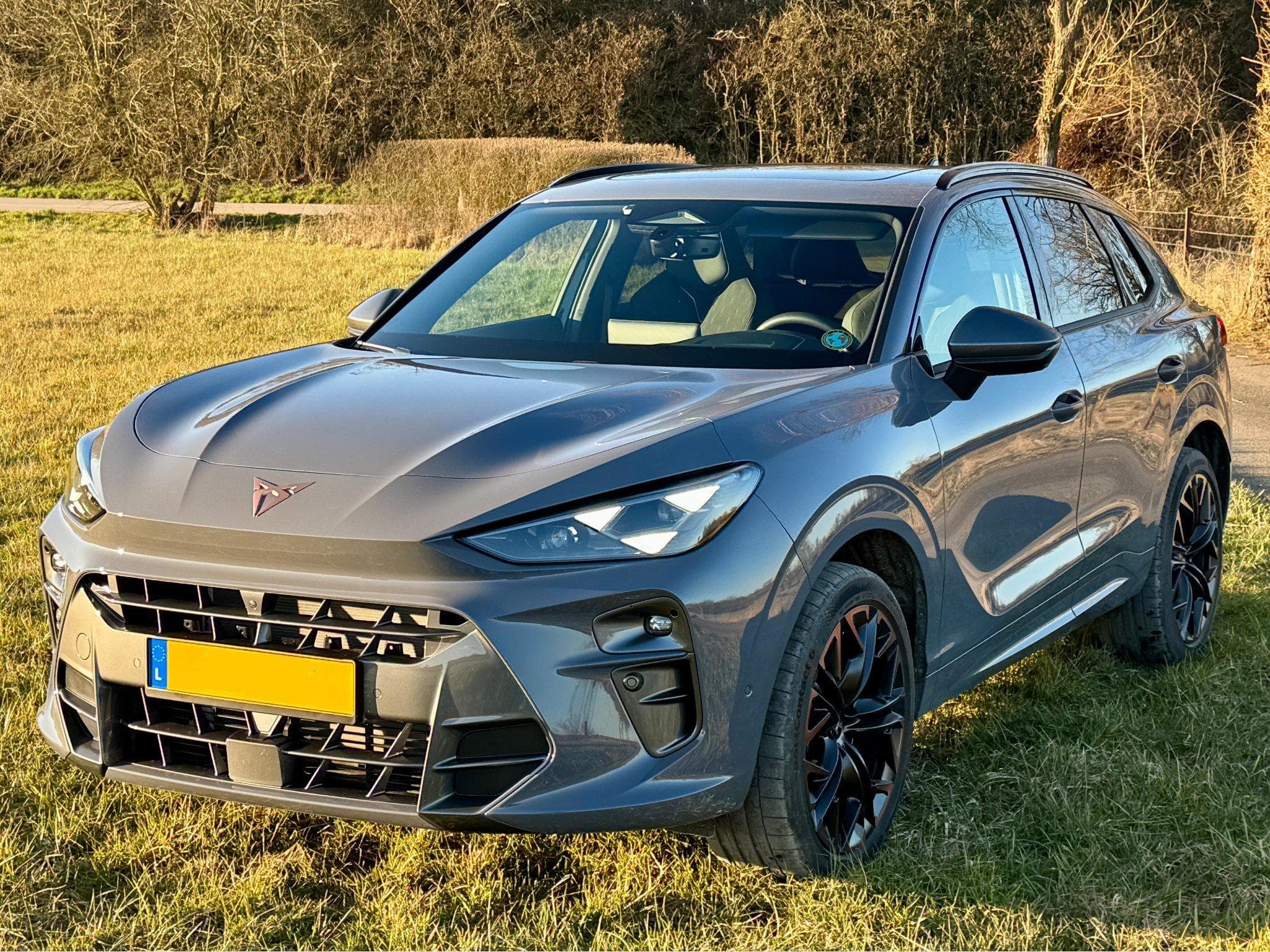 Cupra Terramar 2.0 TSI 265 PS 4Drive (2024) - Foto 1