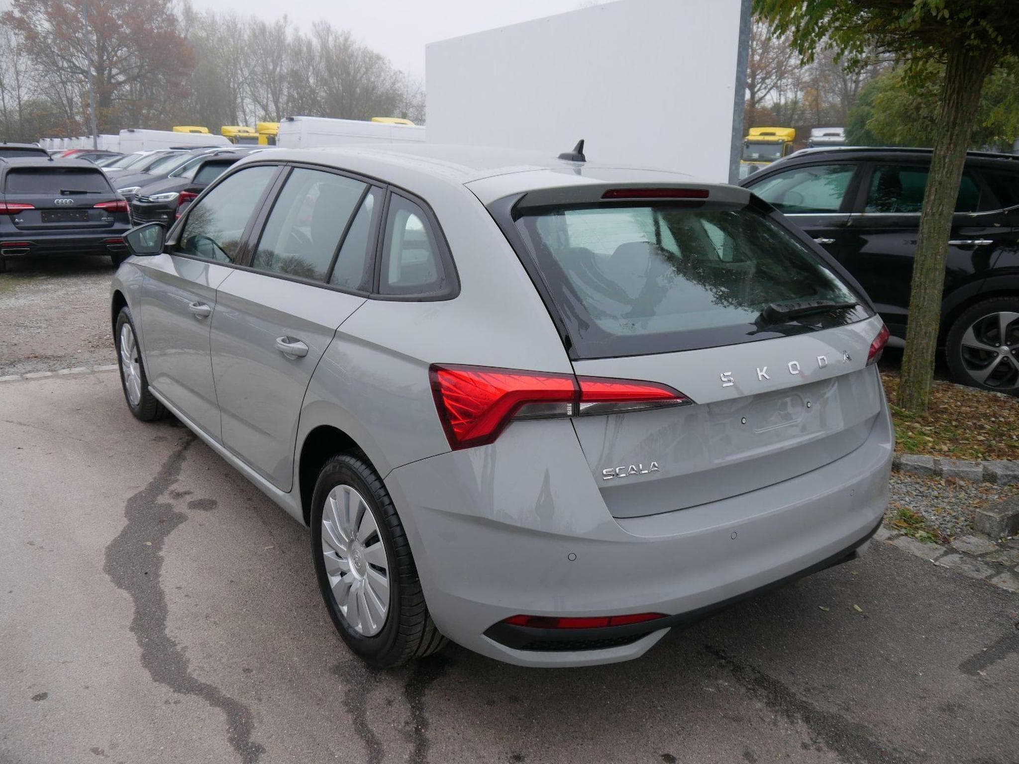 Skoda Scala Selection (2026) - Photo 6