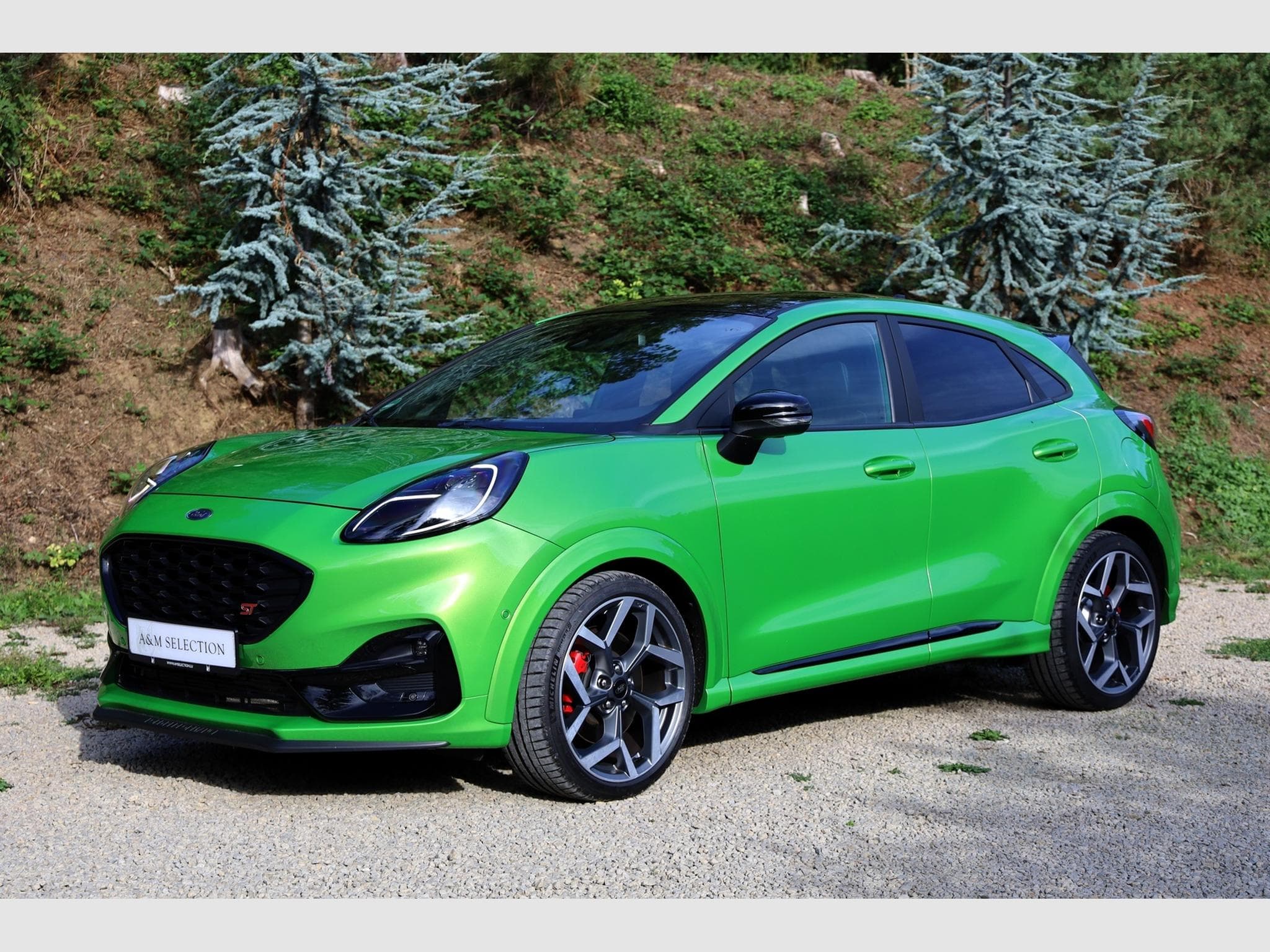Ford Puma ST Ultimate X 200cv (2021) - Foto 5