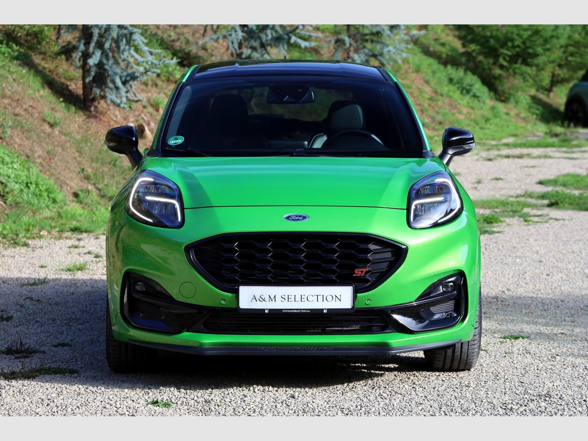 Ford Puma ST Ultimate X 200cv (2021) - Foto 3