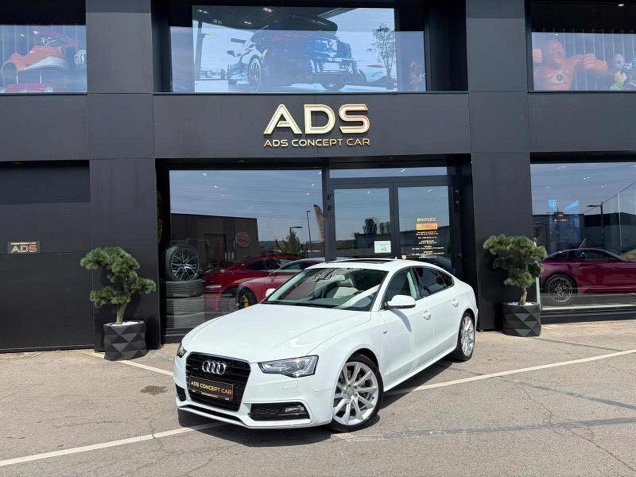Audi A5 Sportback S line Extérieur 3.0L 245ch/Toit Ouvrant/Cuir gris (2014) - Photo 1