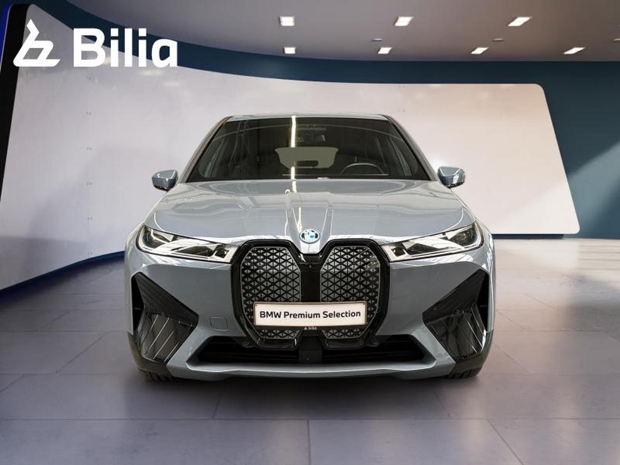 BMW iX iX xDrive40 (2022) - Foto 2