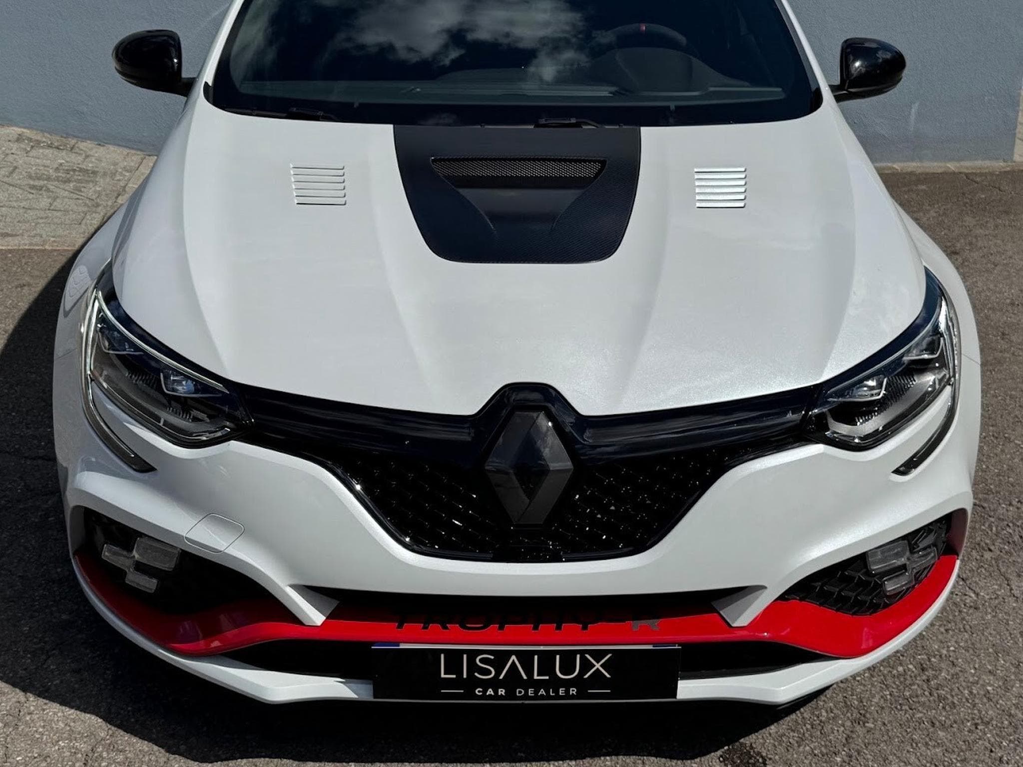 Renault Megane RS TROPHY-R N°441/500 (2020) - Foto 13