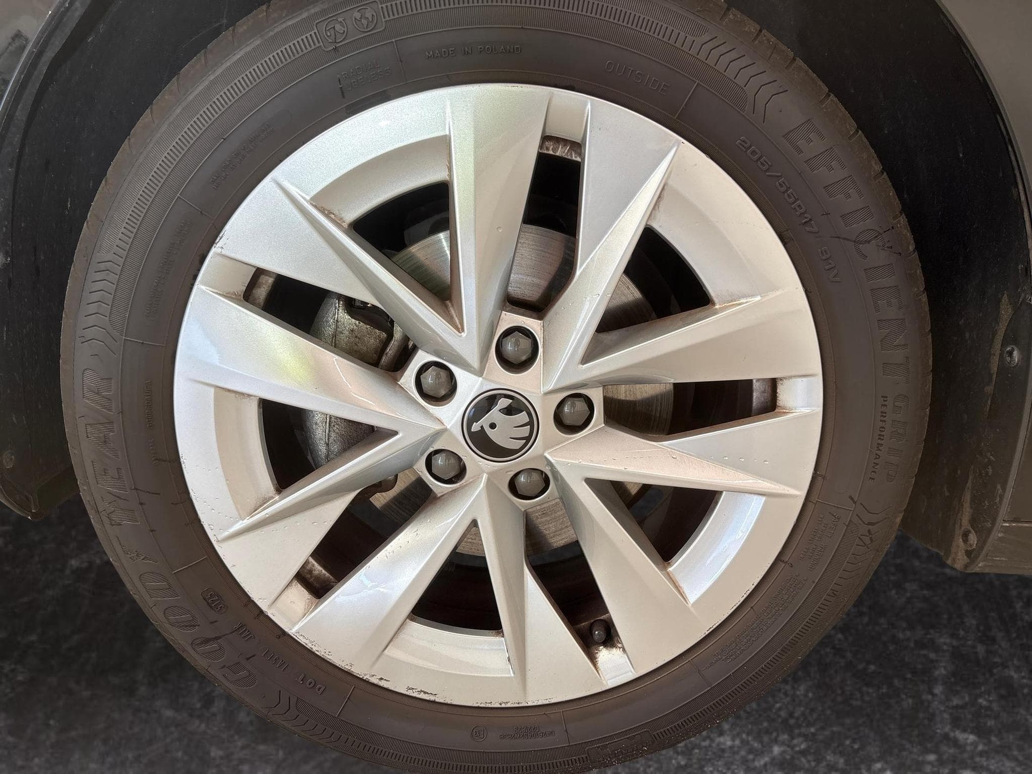 Skoda Octavia Selection (2026) - Photo 9