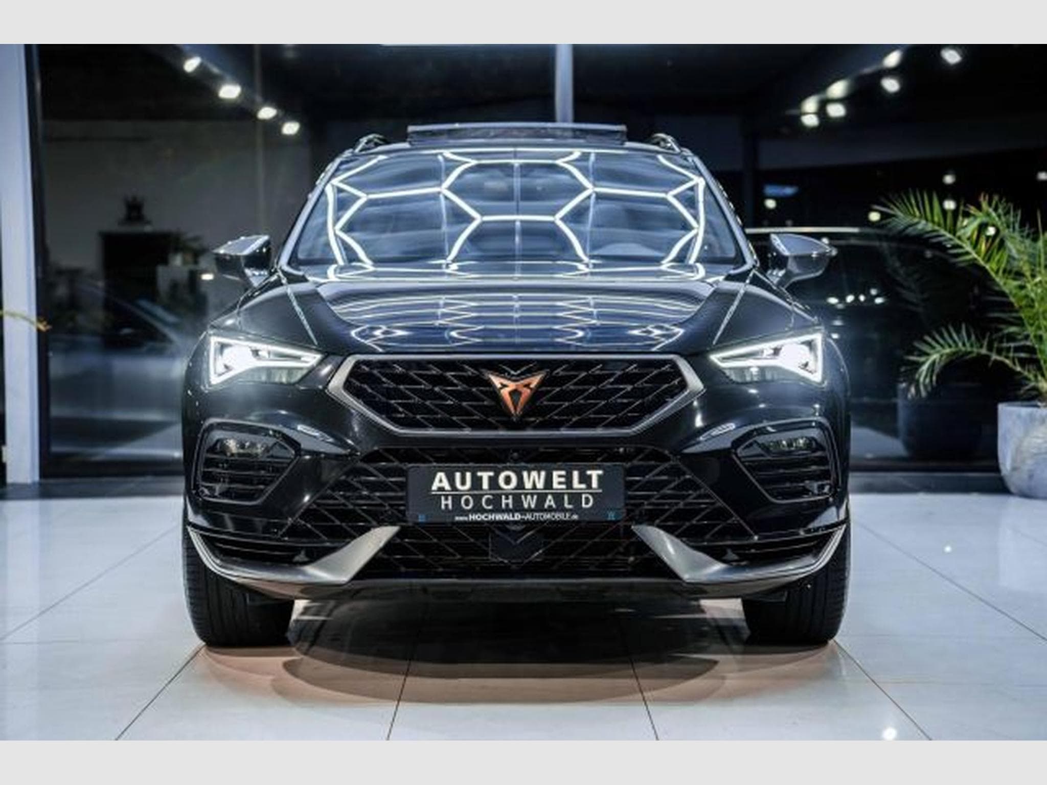 Cupra Ateca Ateca VZ 2.0 TSI DSG Tribe Ed. PANO Beats 20ZOLL (2024) - Photo 5