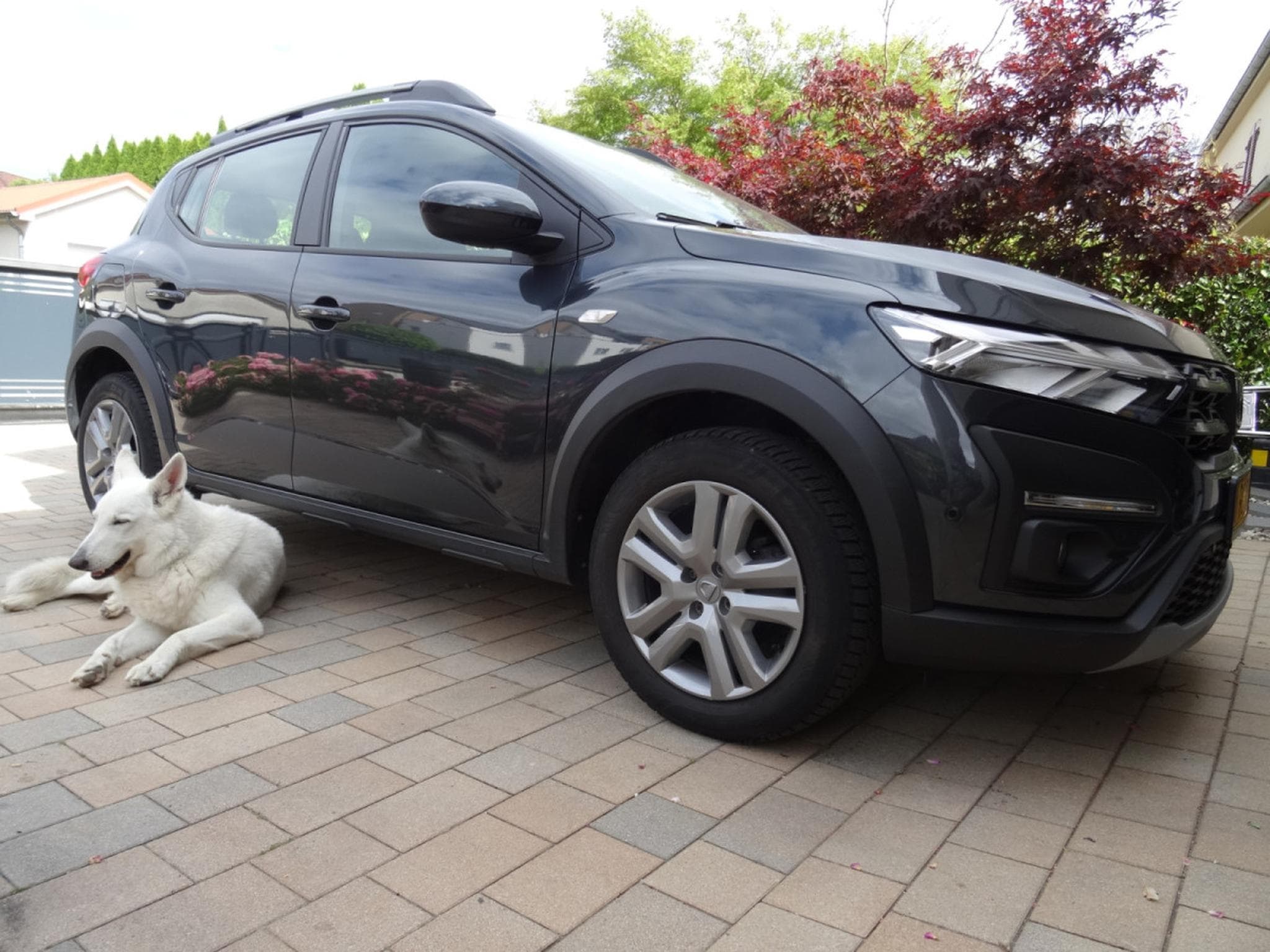 Dacia Sandero STEPWAY (2023) - Foto 2