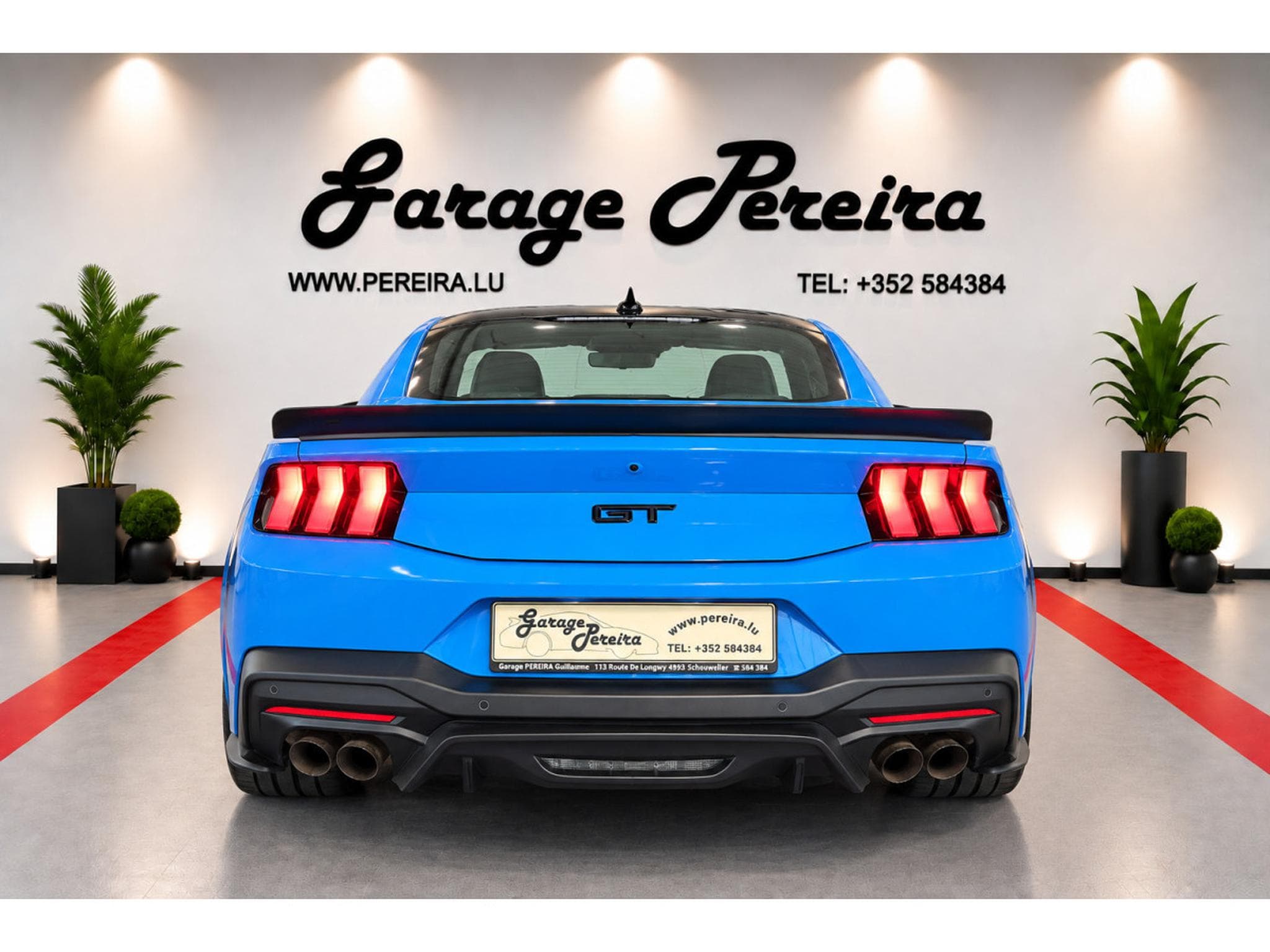 Ford Mustang 5.0 V8 GT LIMITED EDITION WR N°006 GARANTIE FORD 04/2030 (2025) - Photo 5