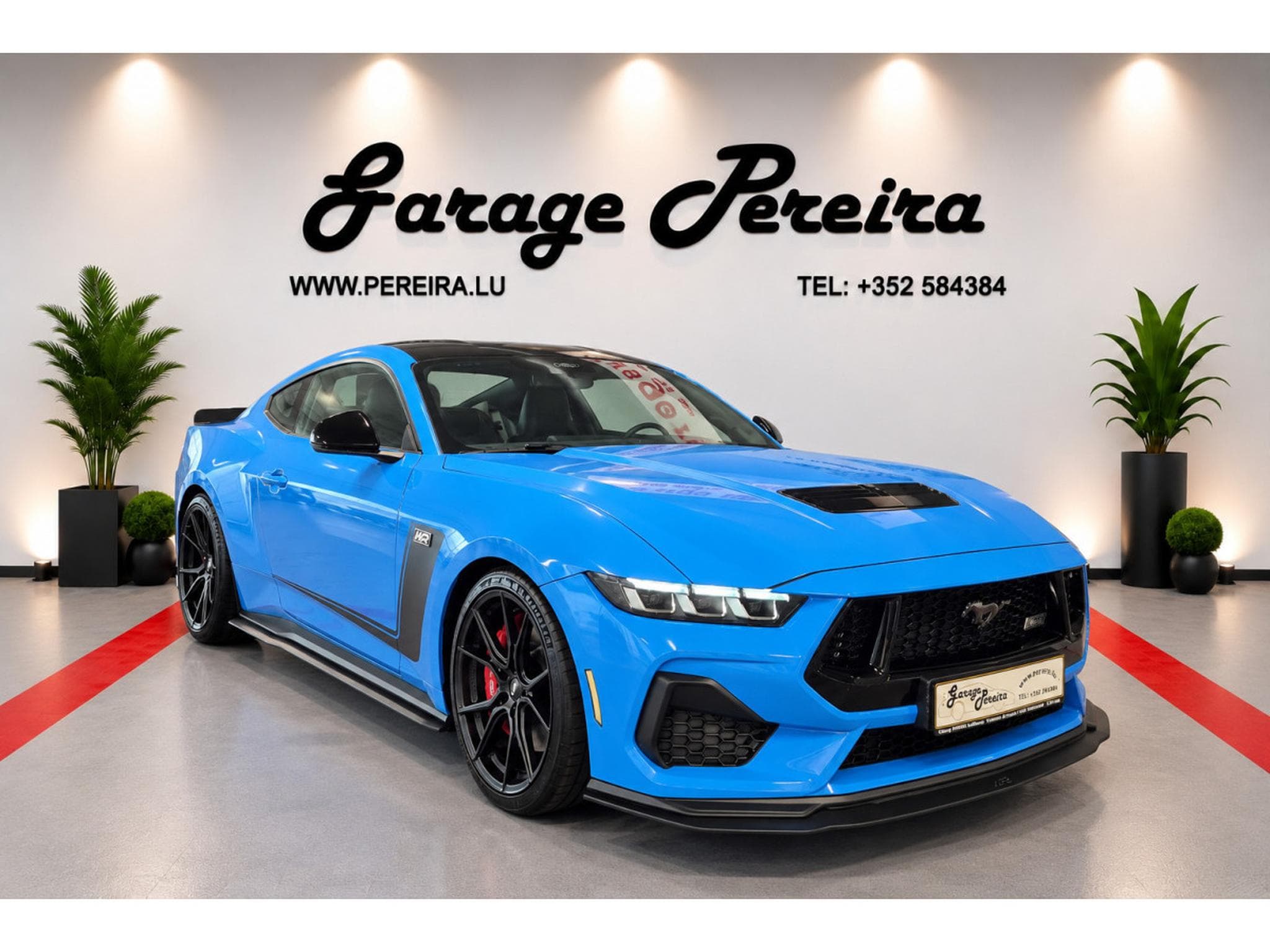 Ford Mustang 5.0 V8 GT LIMITED EDITION WR N°006 GARANTIE FORD 04/2030 (2025) - Photo 2