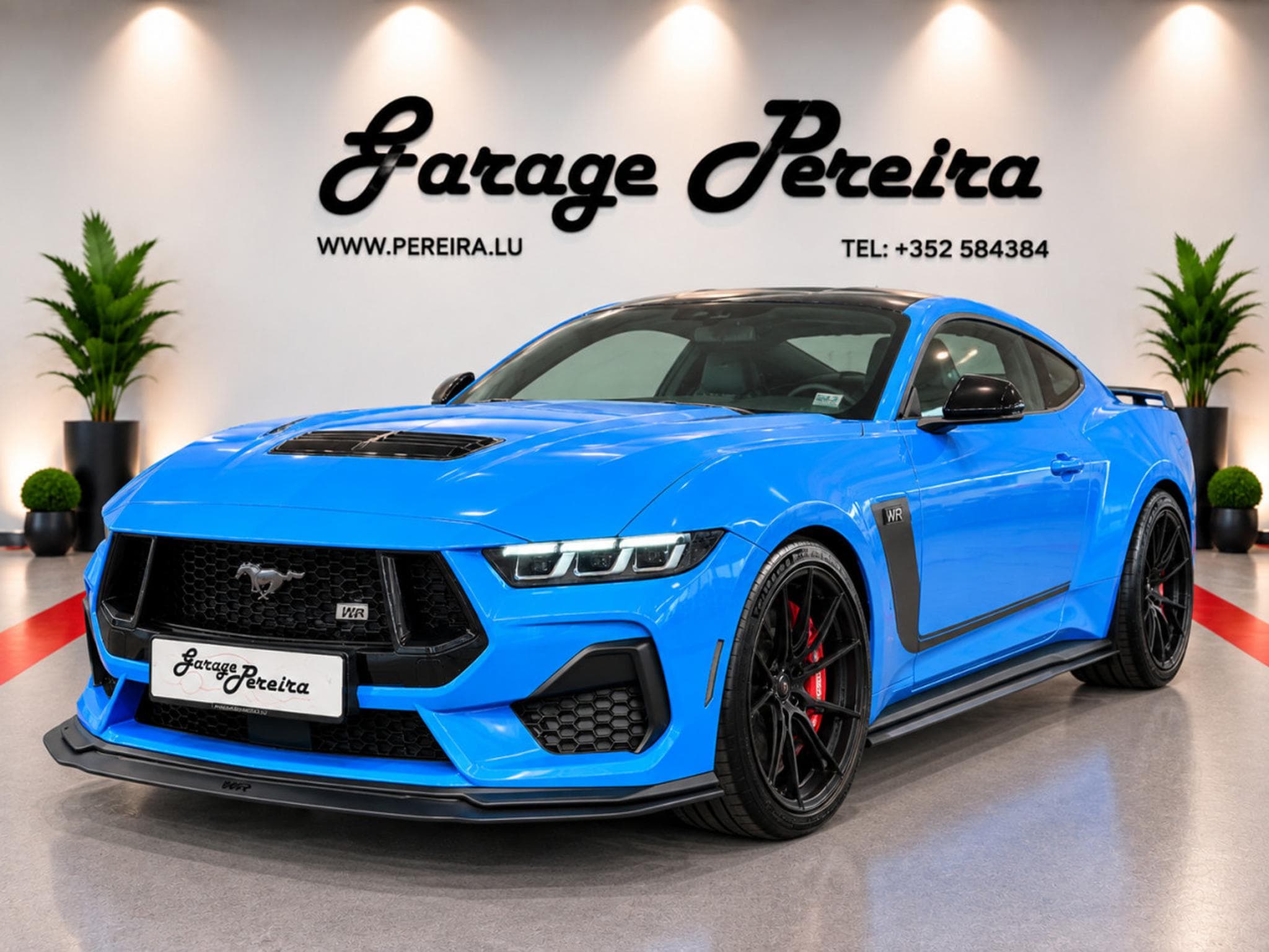 Ford Mustang 5.0 V8 GT LIMITED EDITION WR N°006 GARANTIE FORD 04/2030 (2025) - Photo 6