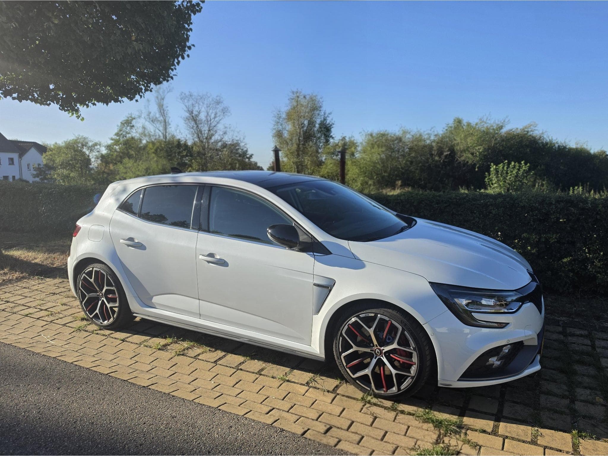 Renault Megane 4 RS Trophy (2020) - Photo 2